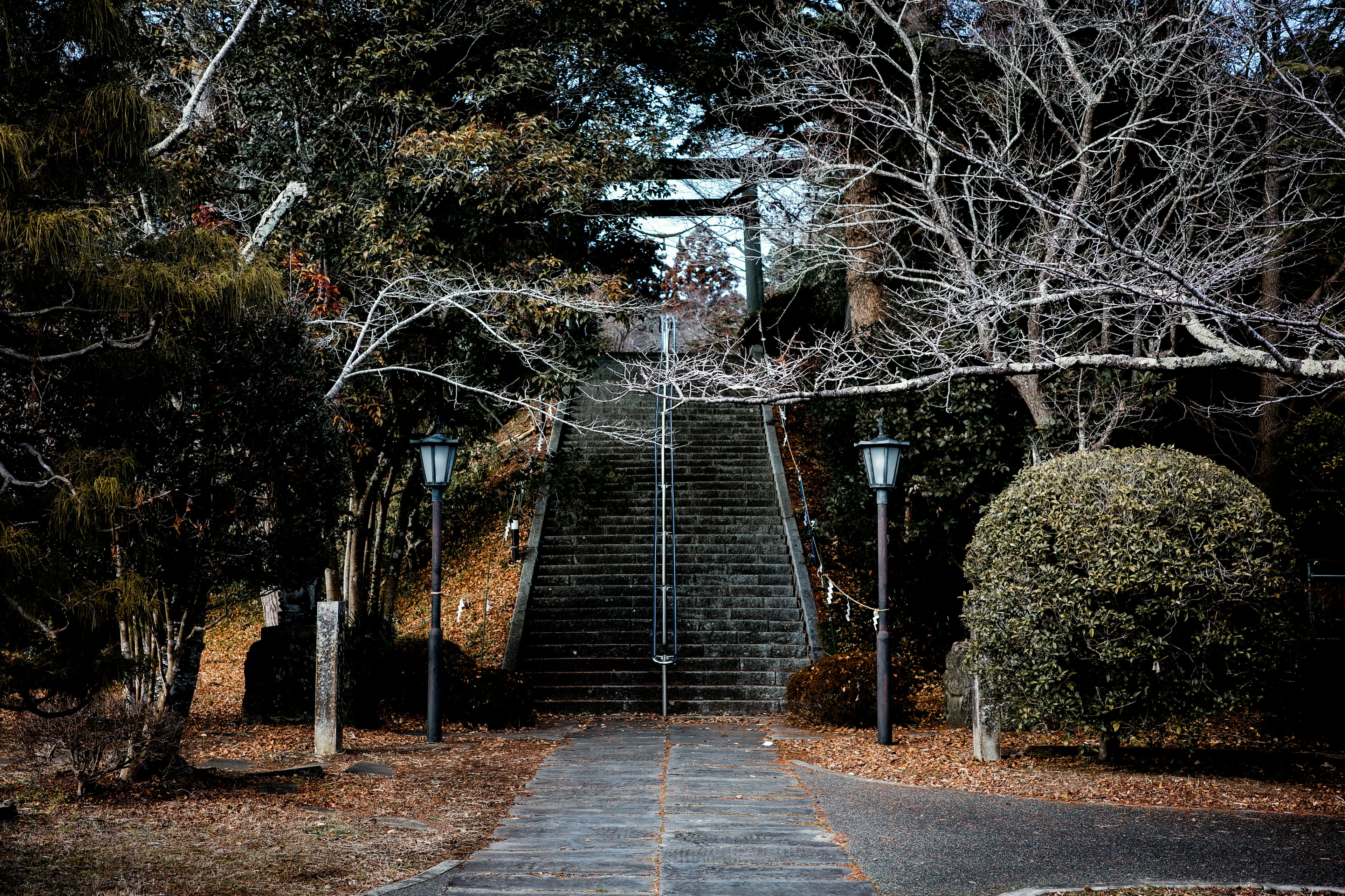 Serene park scene featuring stone steps and bare trees