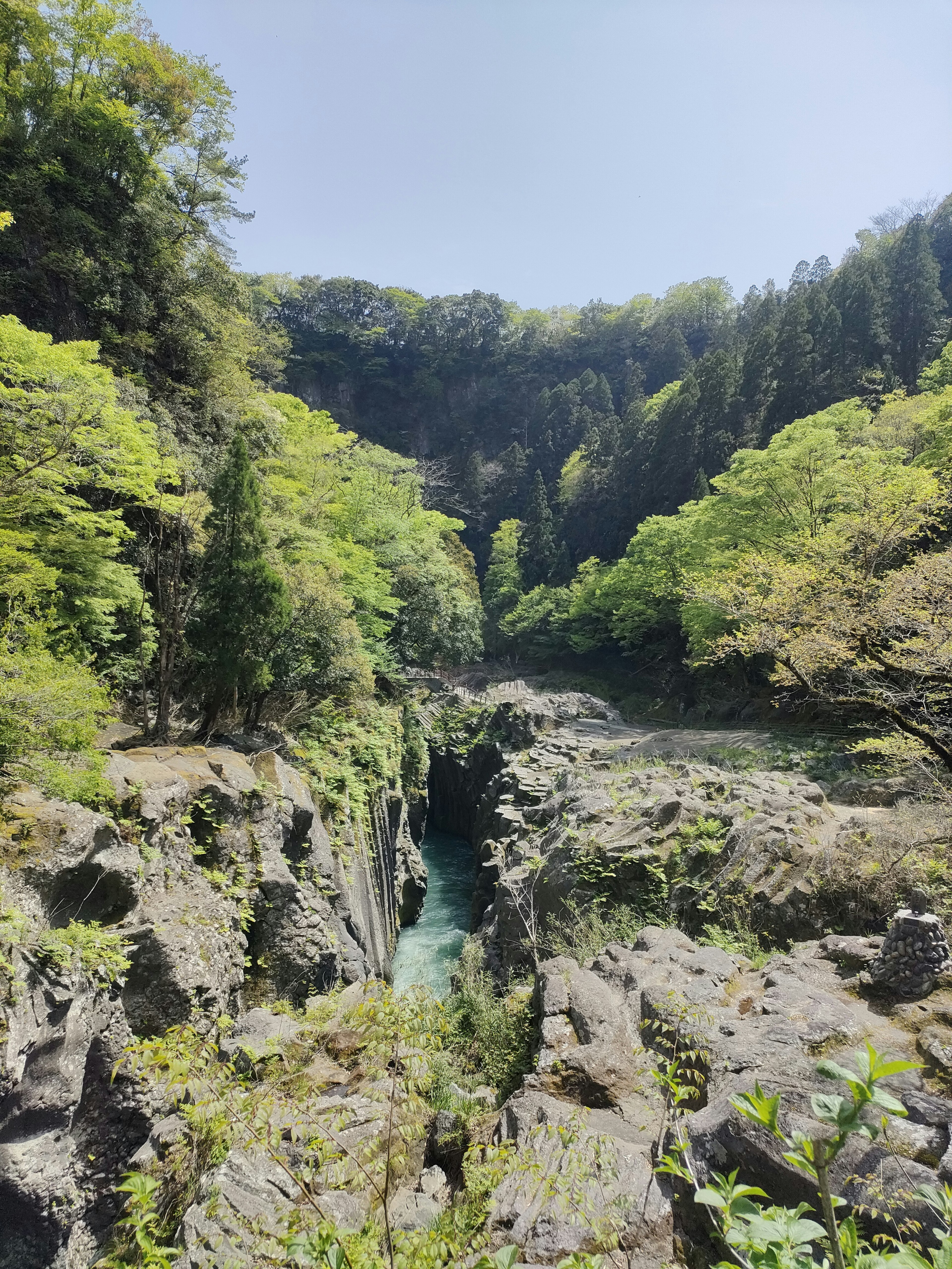 緑豊かな峡谷と青い水の流れを持つ自然の風景