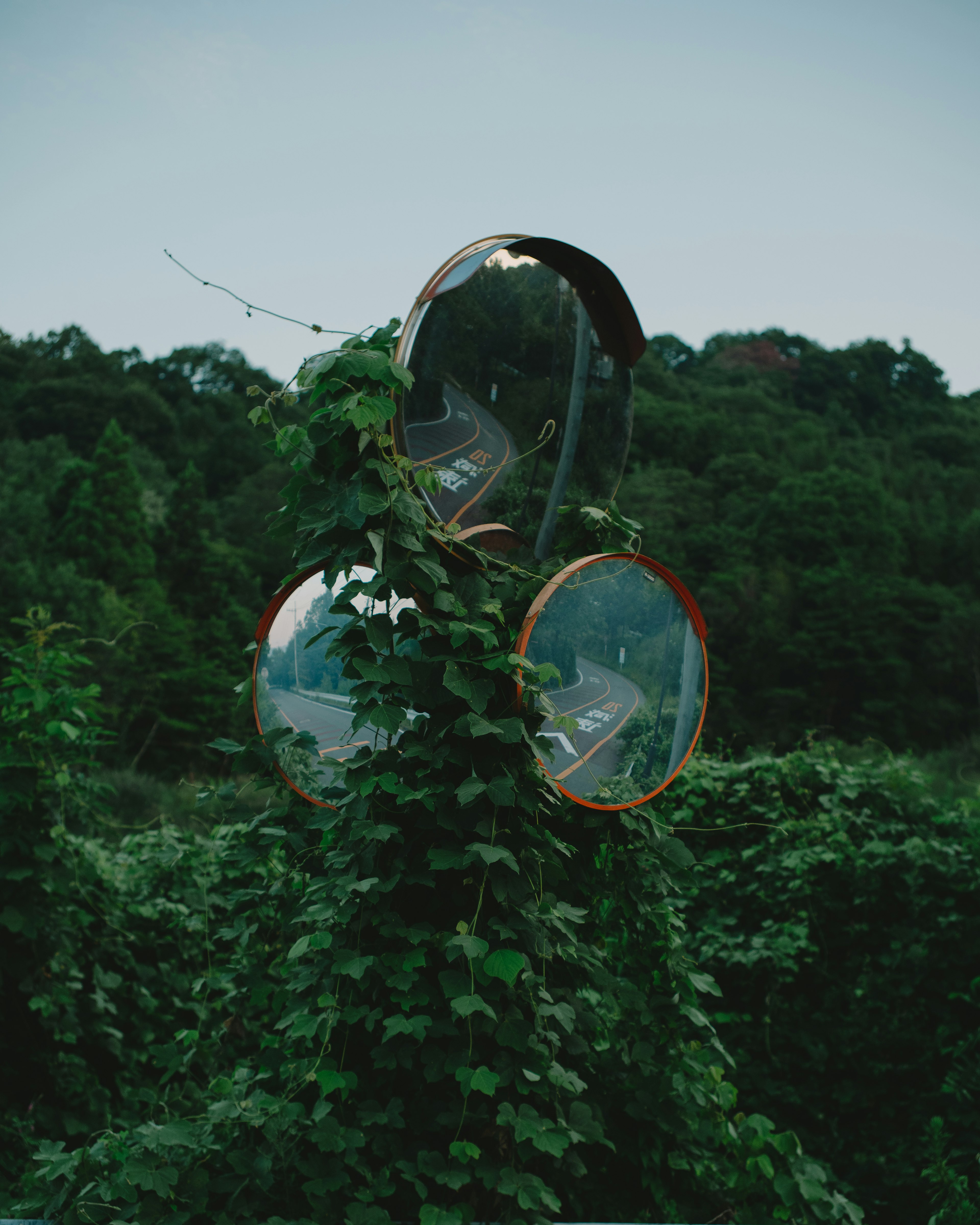 A landscape featuring mirrored objects entwined with green vines