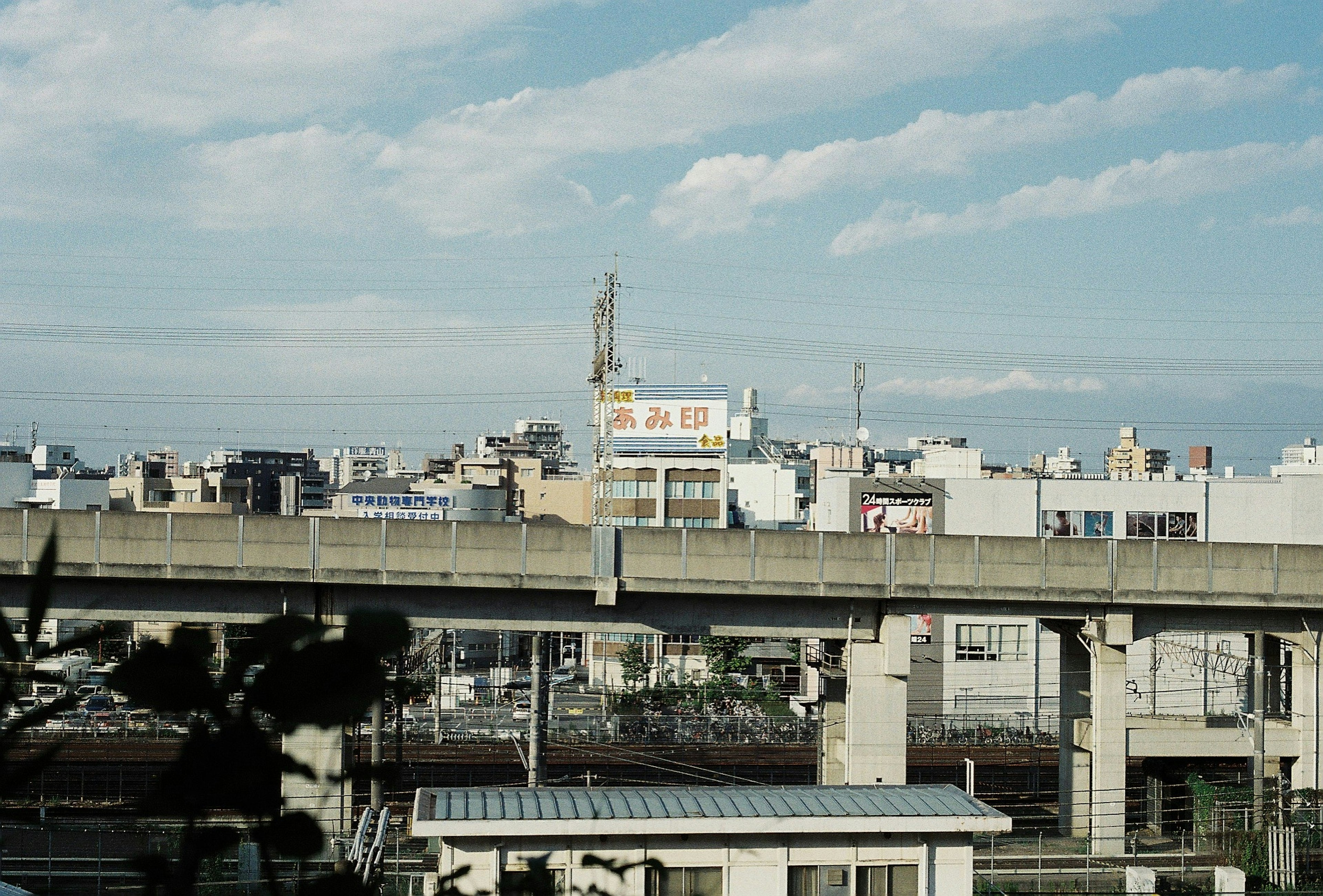 城市景觀包含高架道路和建築物