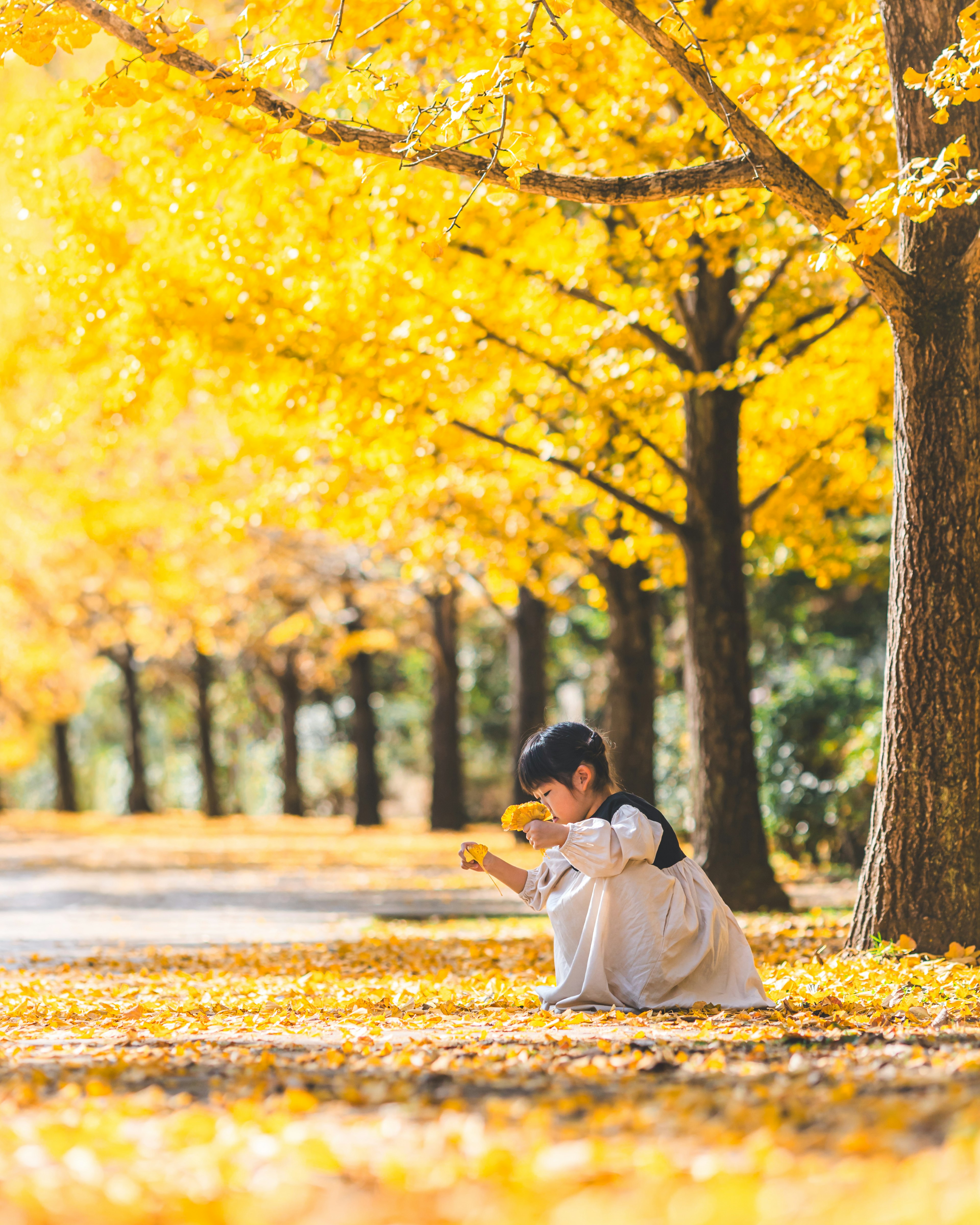 Niño jugando entre hojas de otoño amarillas vibrantes