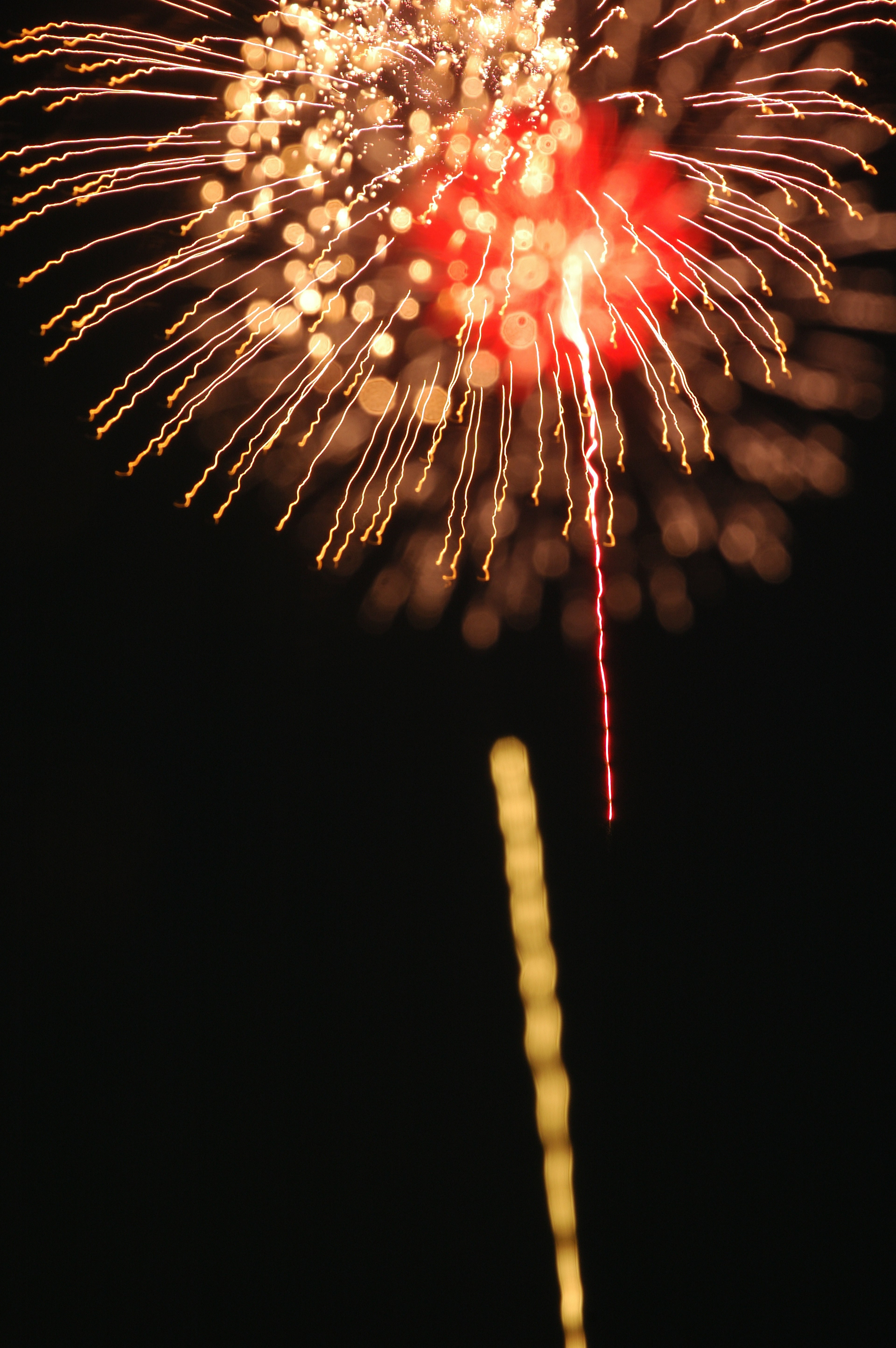 A burst of fireworks illuminating the night sky with colorful trails