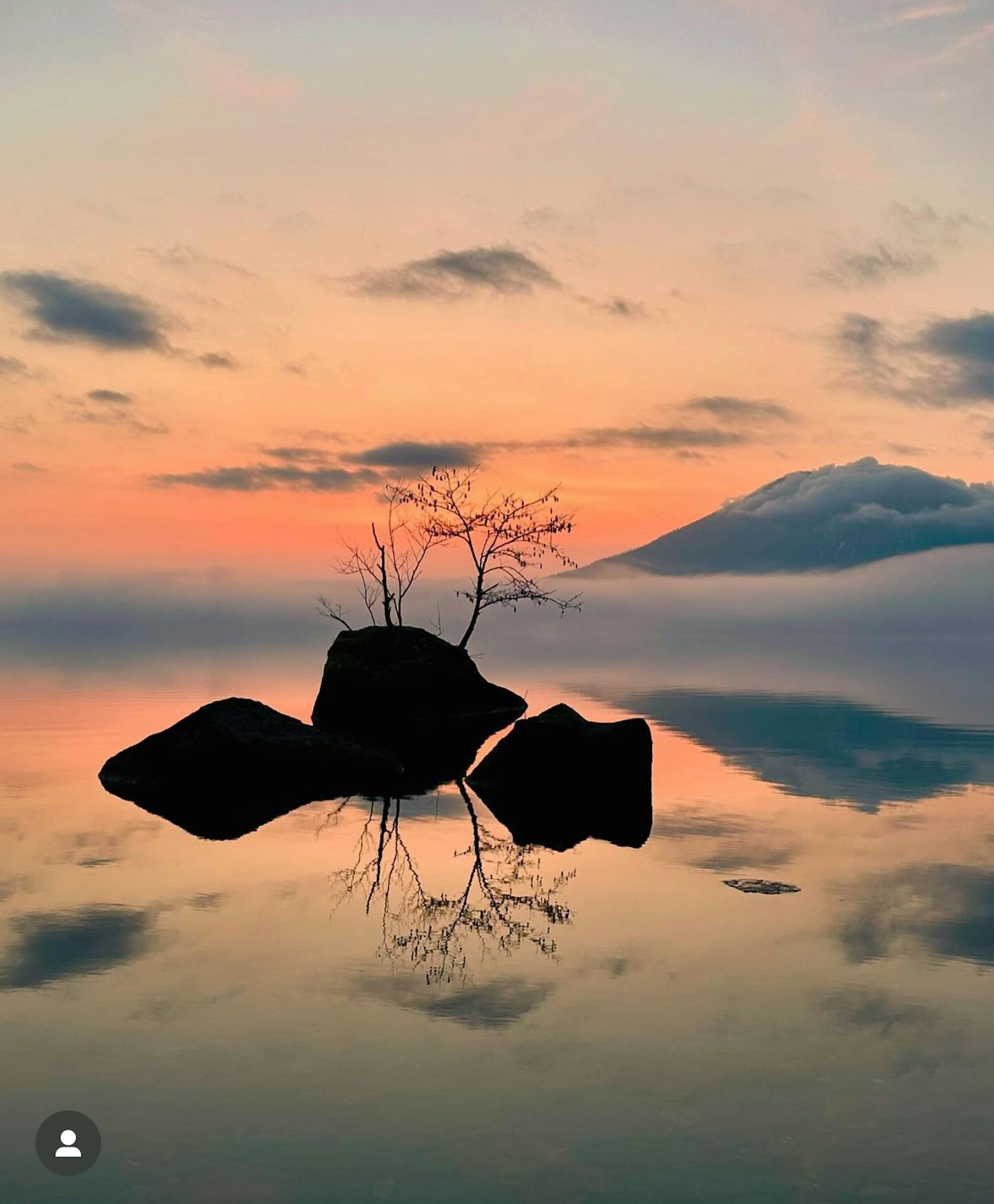 Paesaggio sereno con un albero e rocce riflessi in un lago calmo