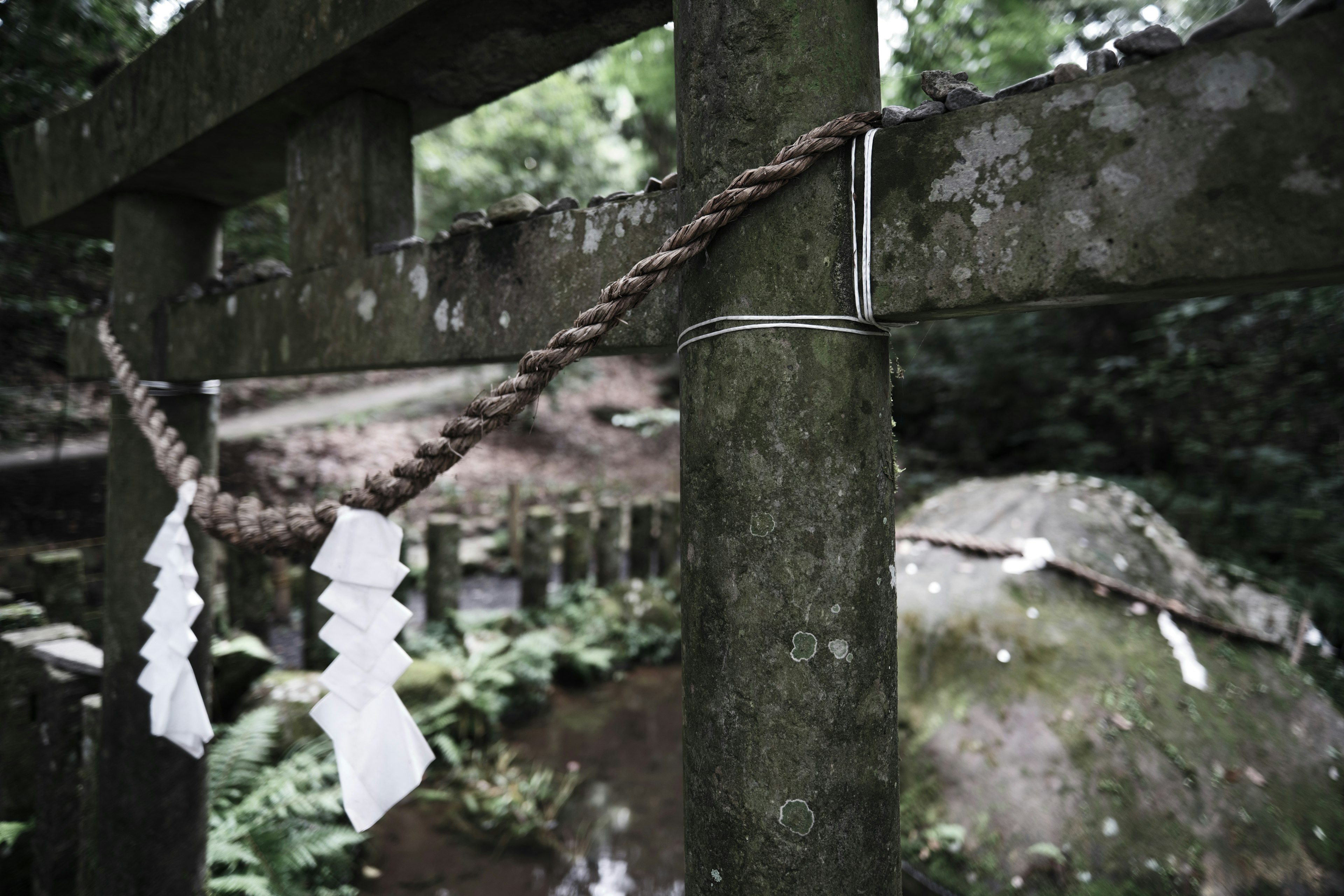 A wooden torii gate with a rope and white paper decorations in a serene natural setting