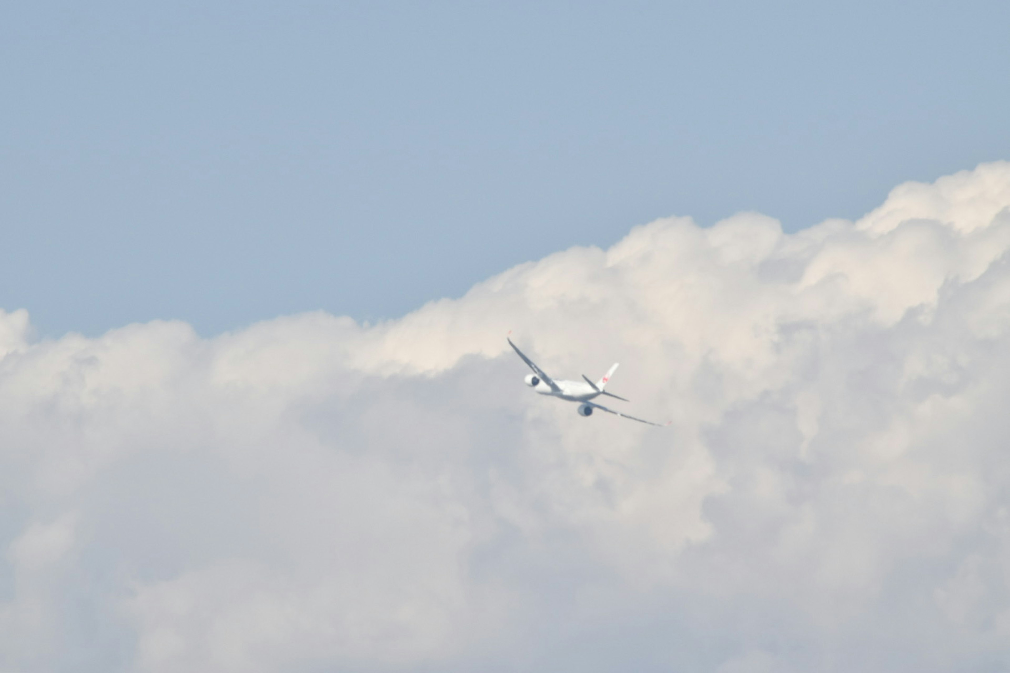 白い雲の中を飛ぶ飛行機の後ろ姿