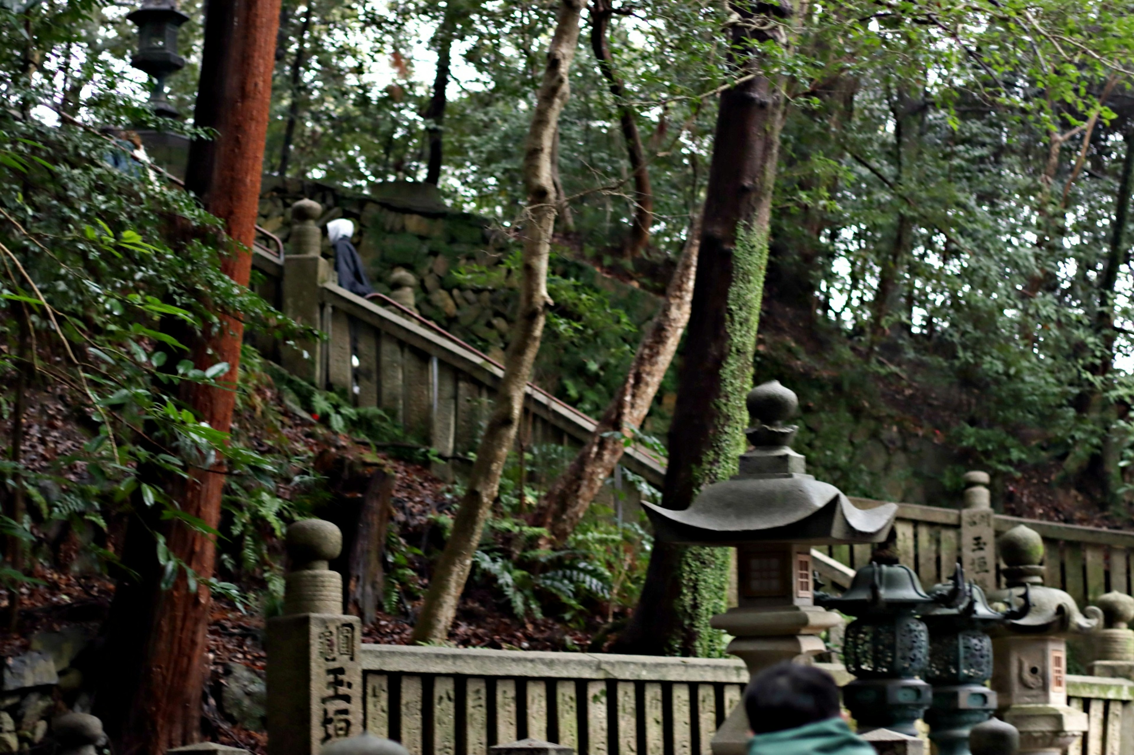 A serene pathway with stone lanterns and wooden steps surrounded by lush greenery