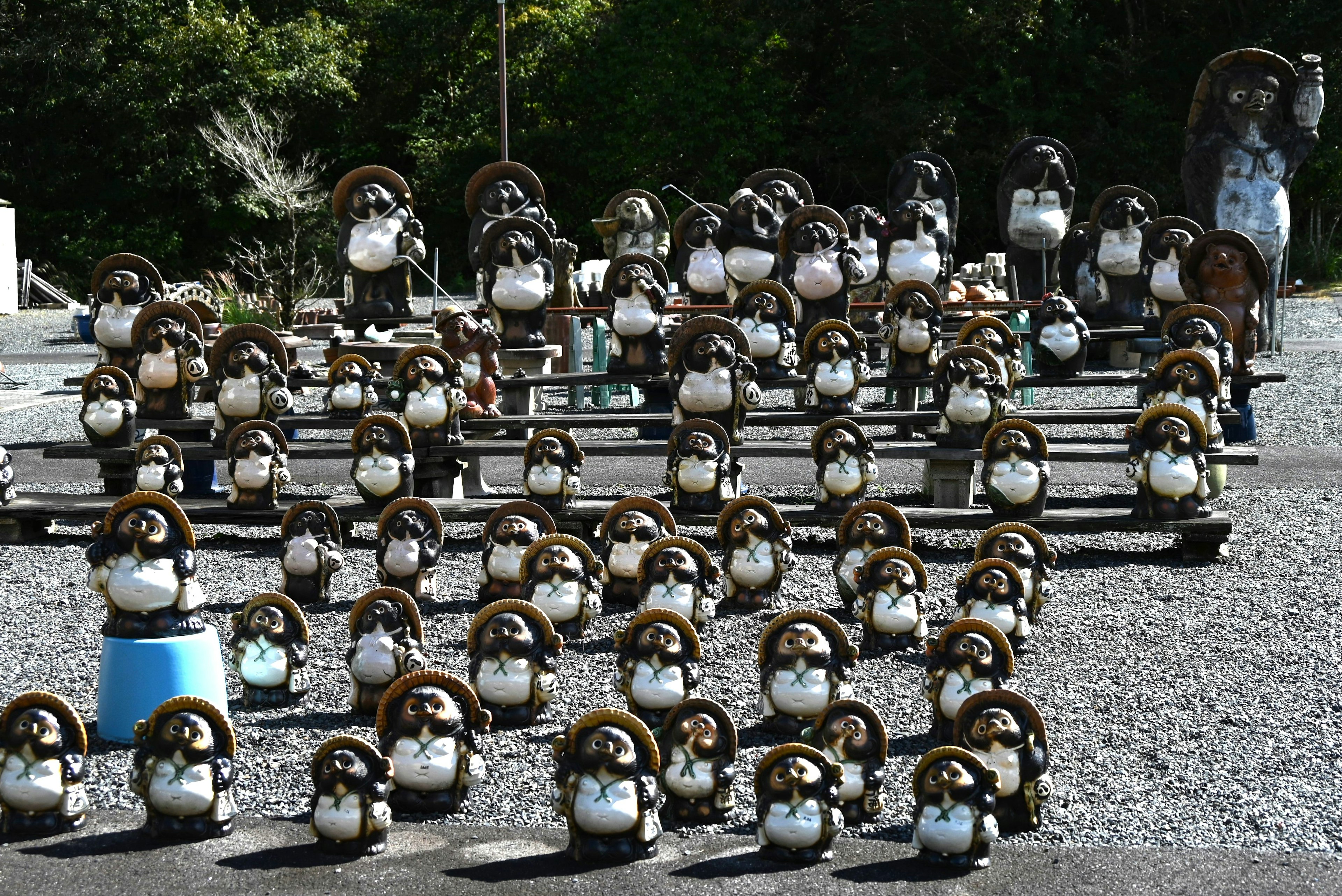 A large collection of round ceramic figures arranged in rows