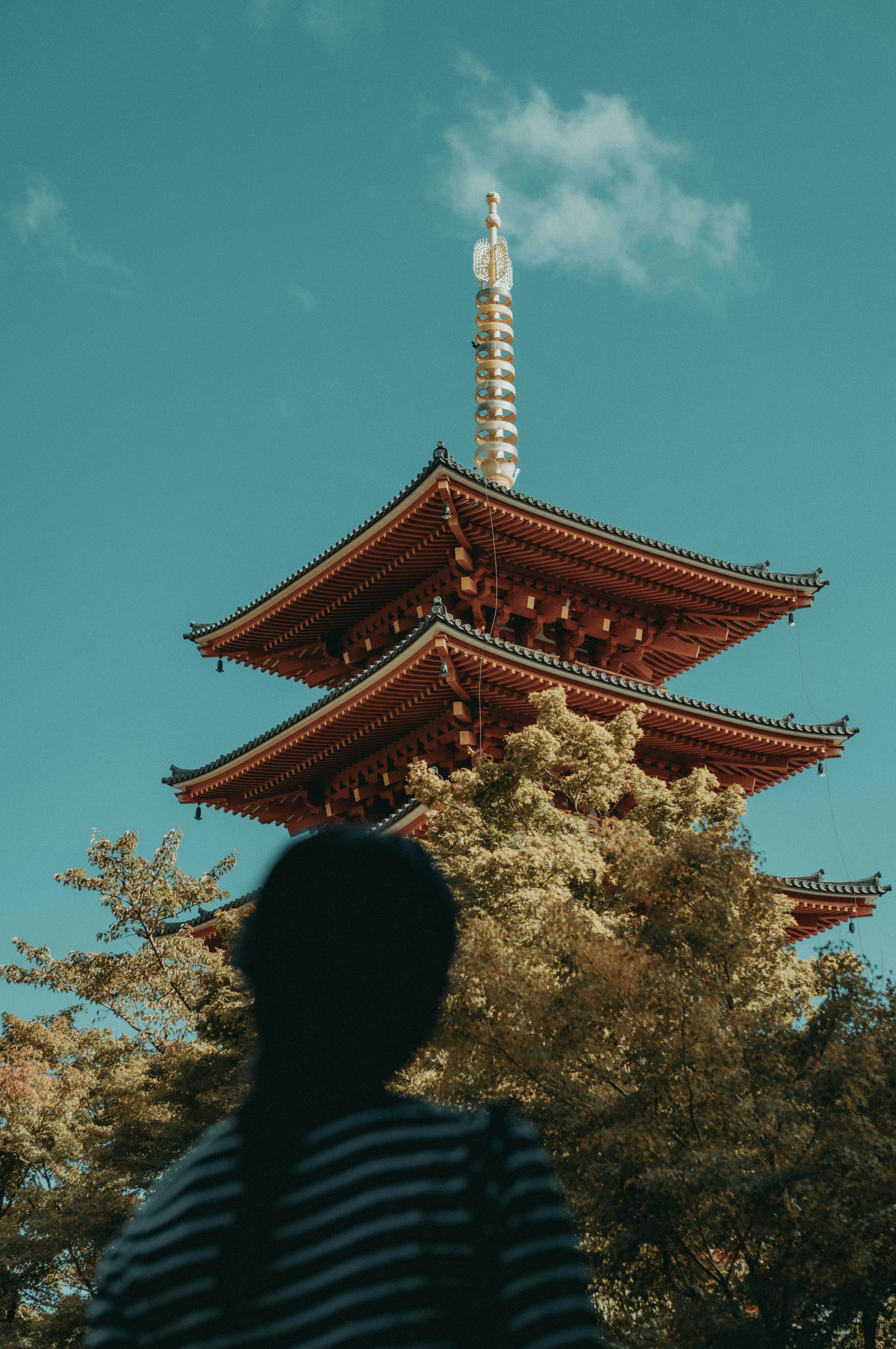 女性が見上げる五重塔と青空の風景