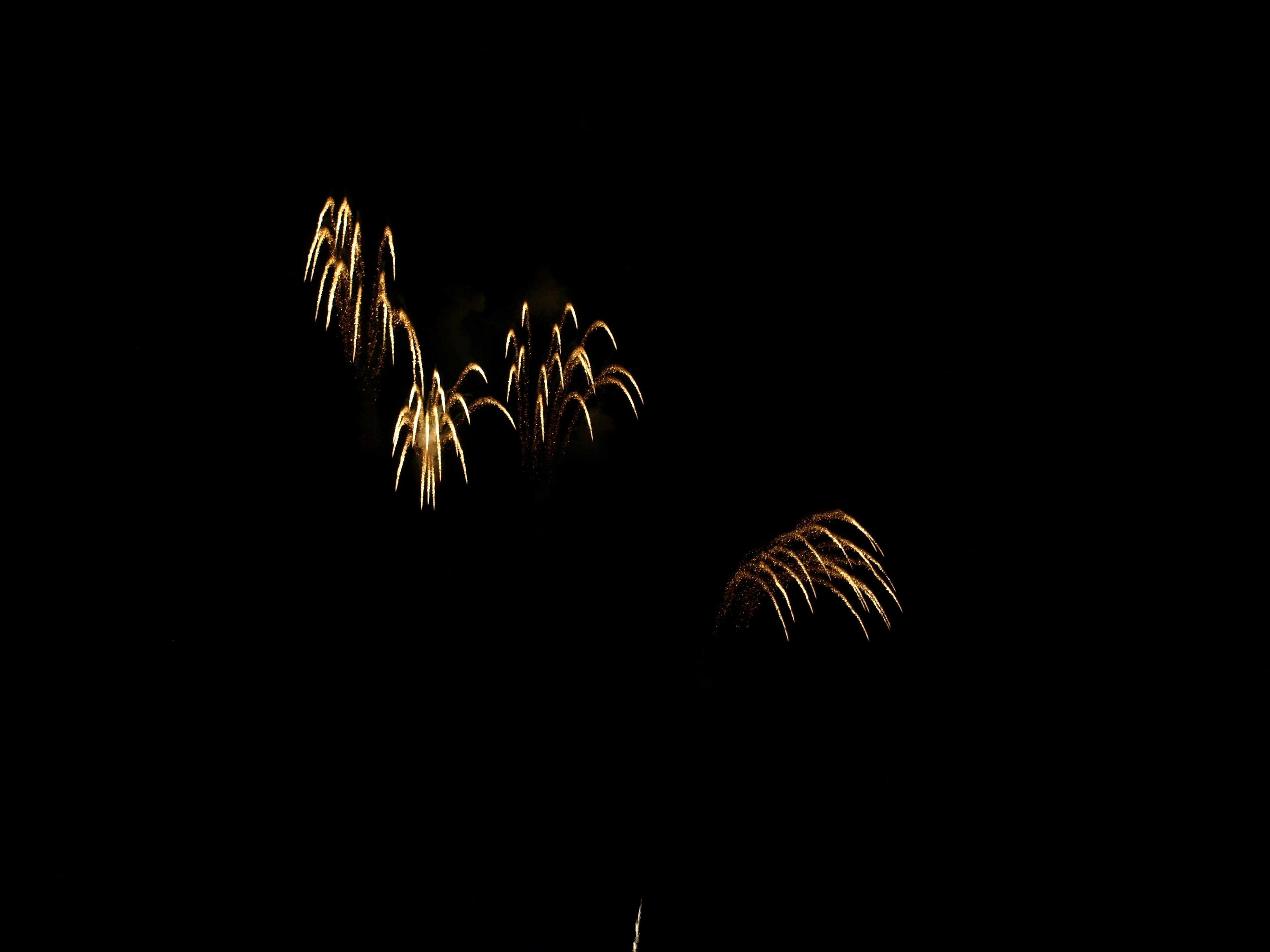 Feuerwerksähnliche Lichtausbrüche vor dunklem Hintergrund