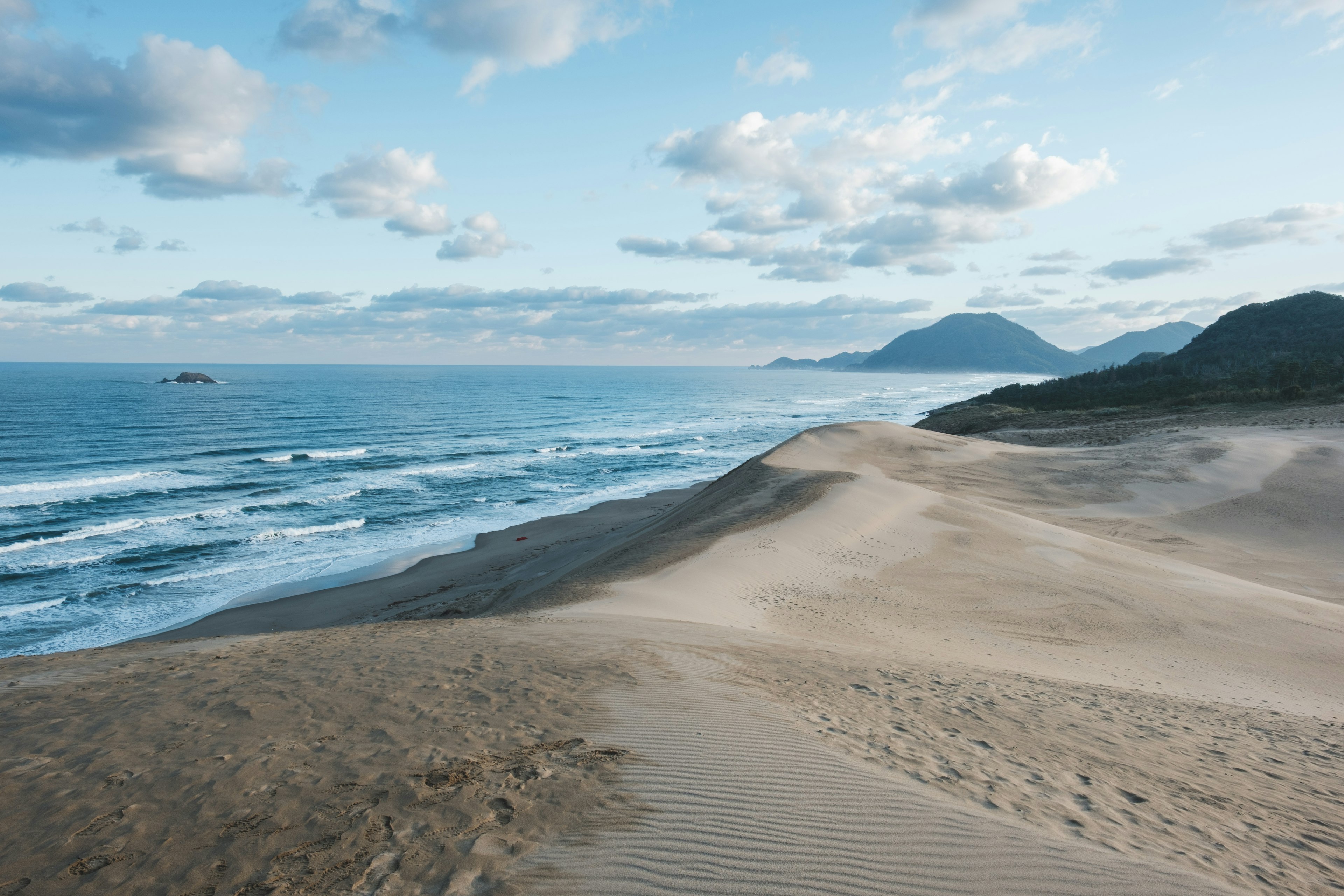 Costa panoramica con dune di sabbia e onde oceaniche