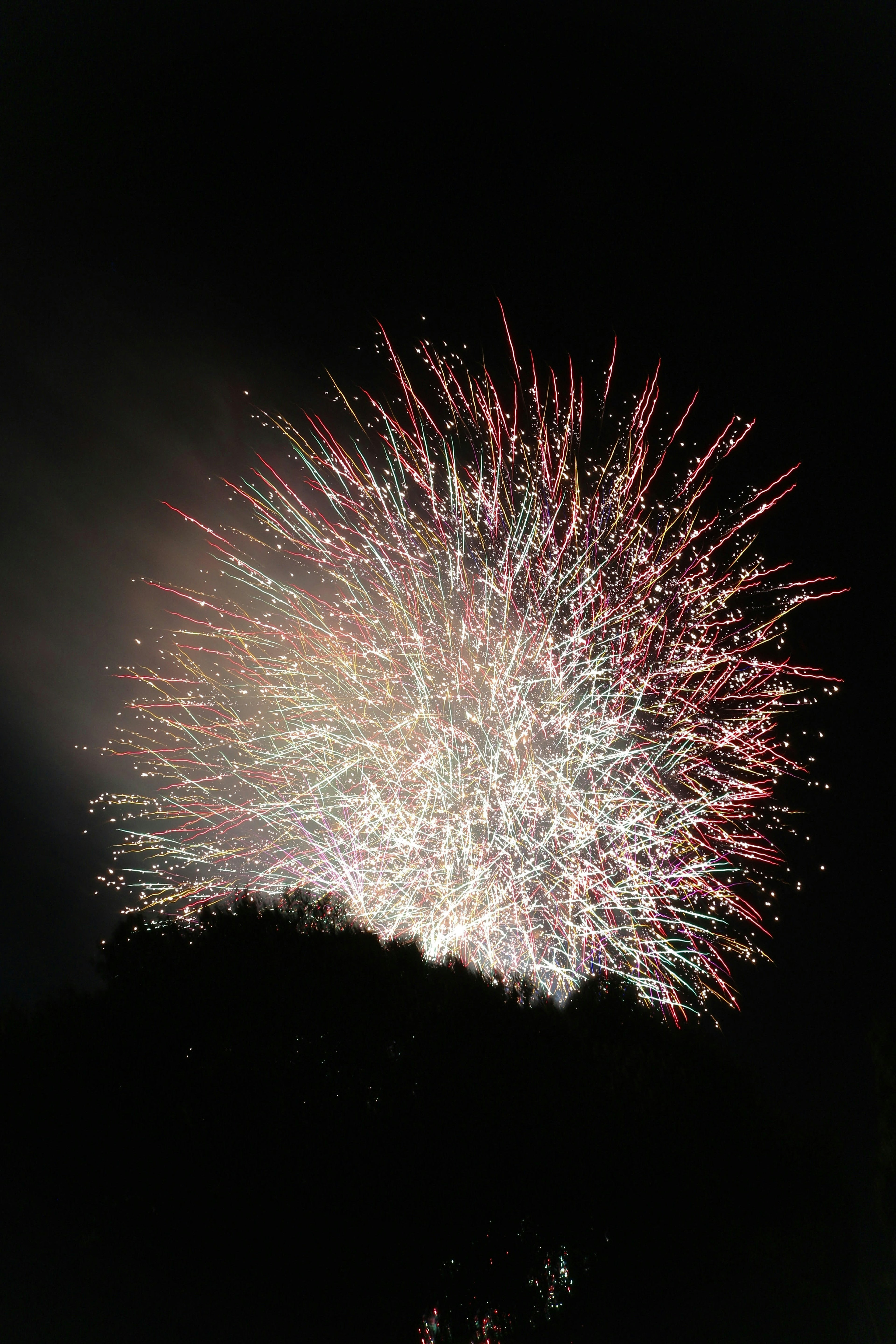 Hermosa explosión de fuegos artificiales en el cielo nocturno