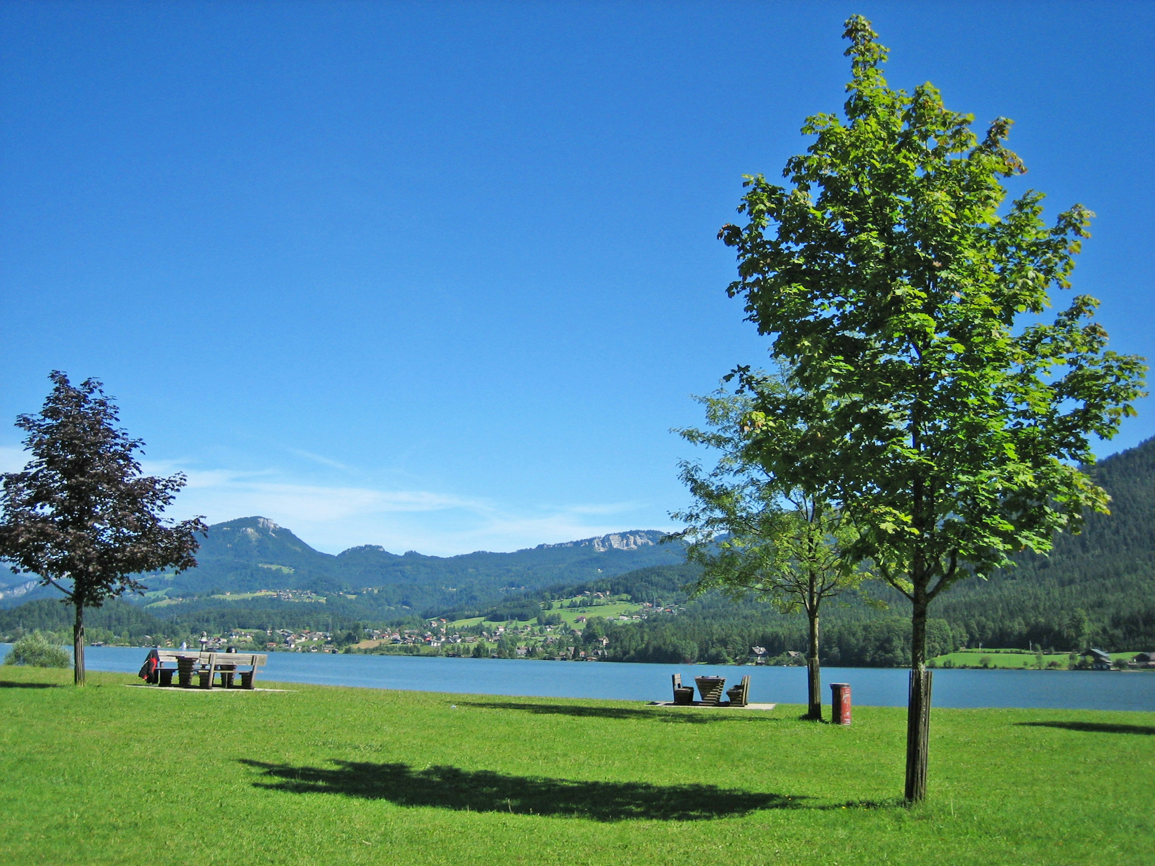 Vue pittoresque du bord du lac avec de l'herbe verte et des arbres sous un ciel bleu