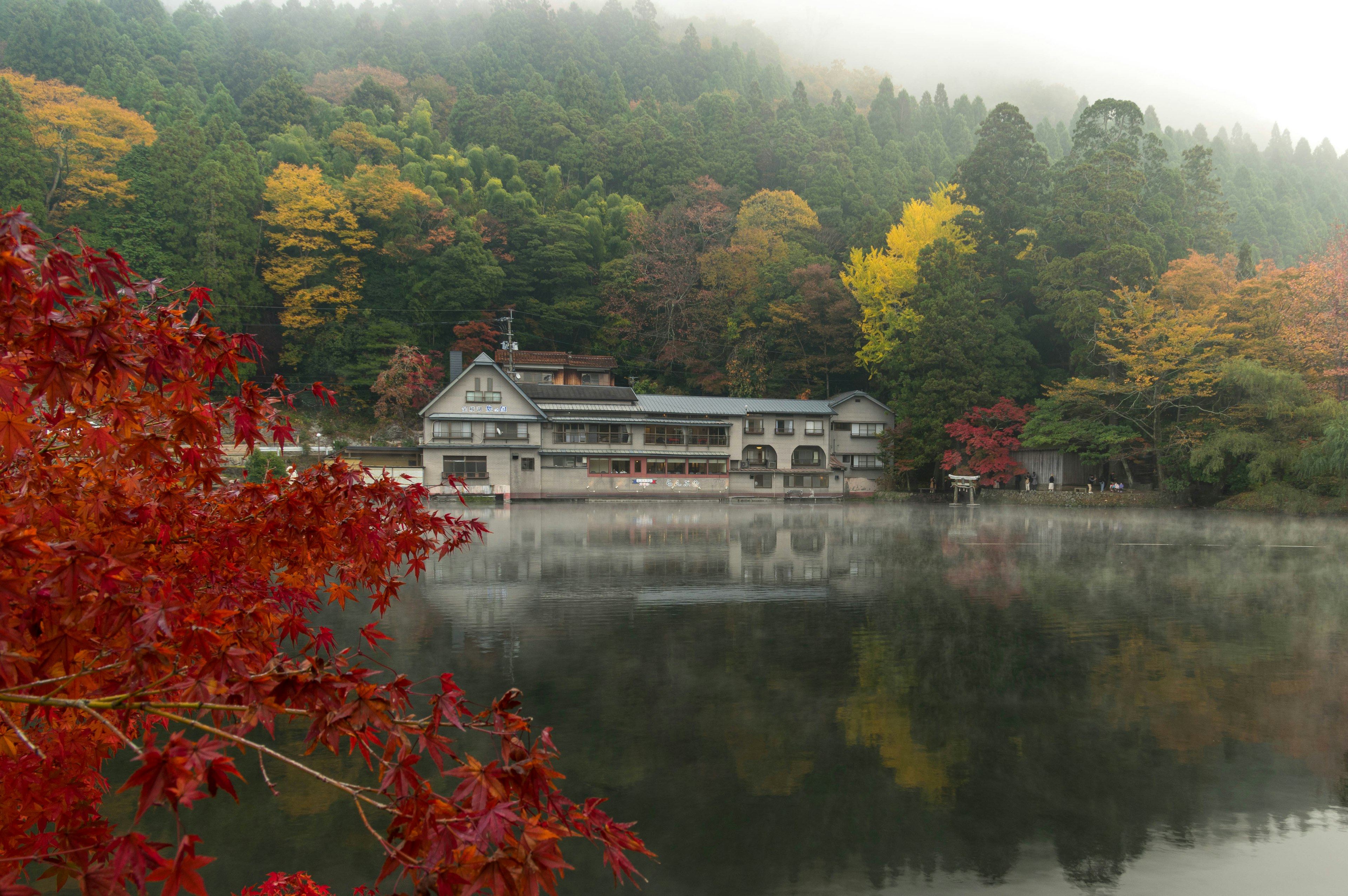 Gebäude am See umgeben von Herbstblättern und Nebel