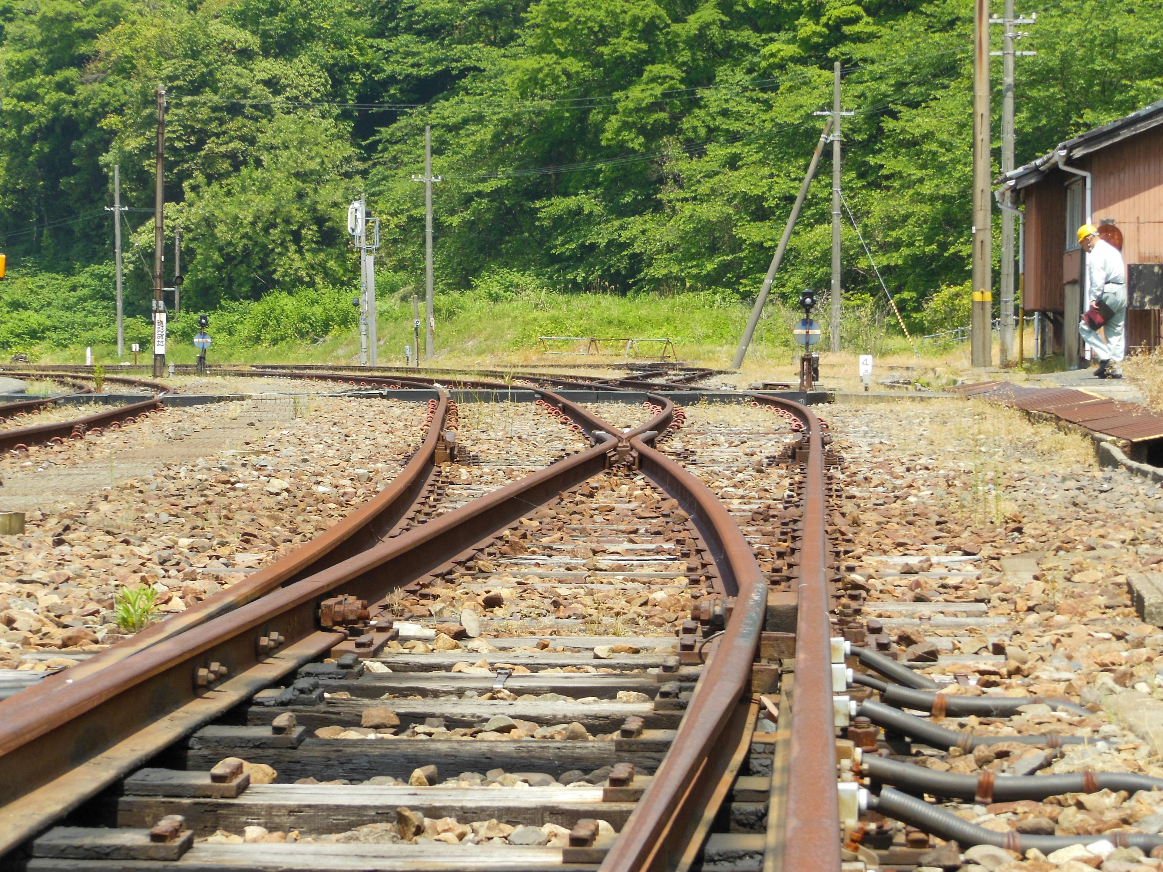 鉄道の分岐点と周囲の緑の風景