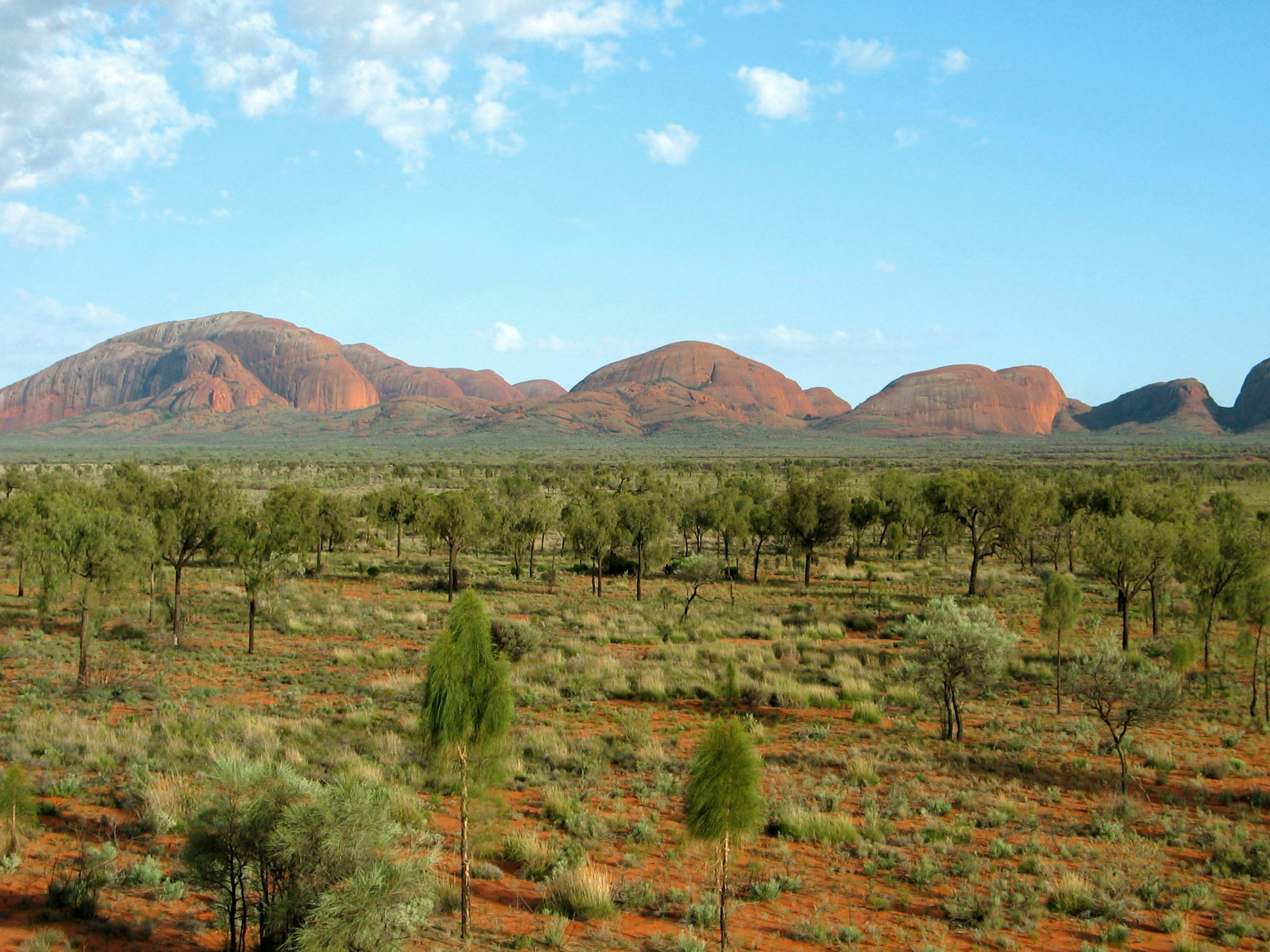 Landscape featuring red mountains and green trees in Australia