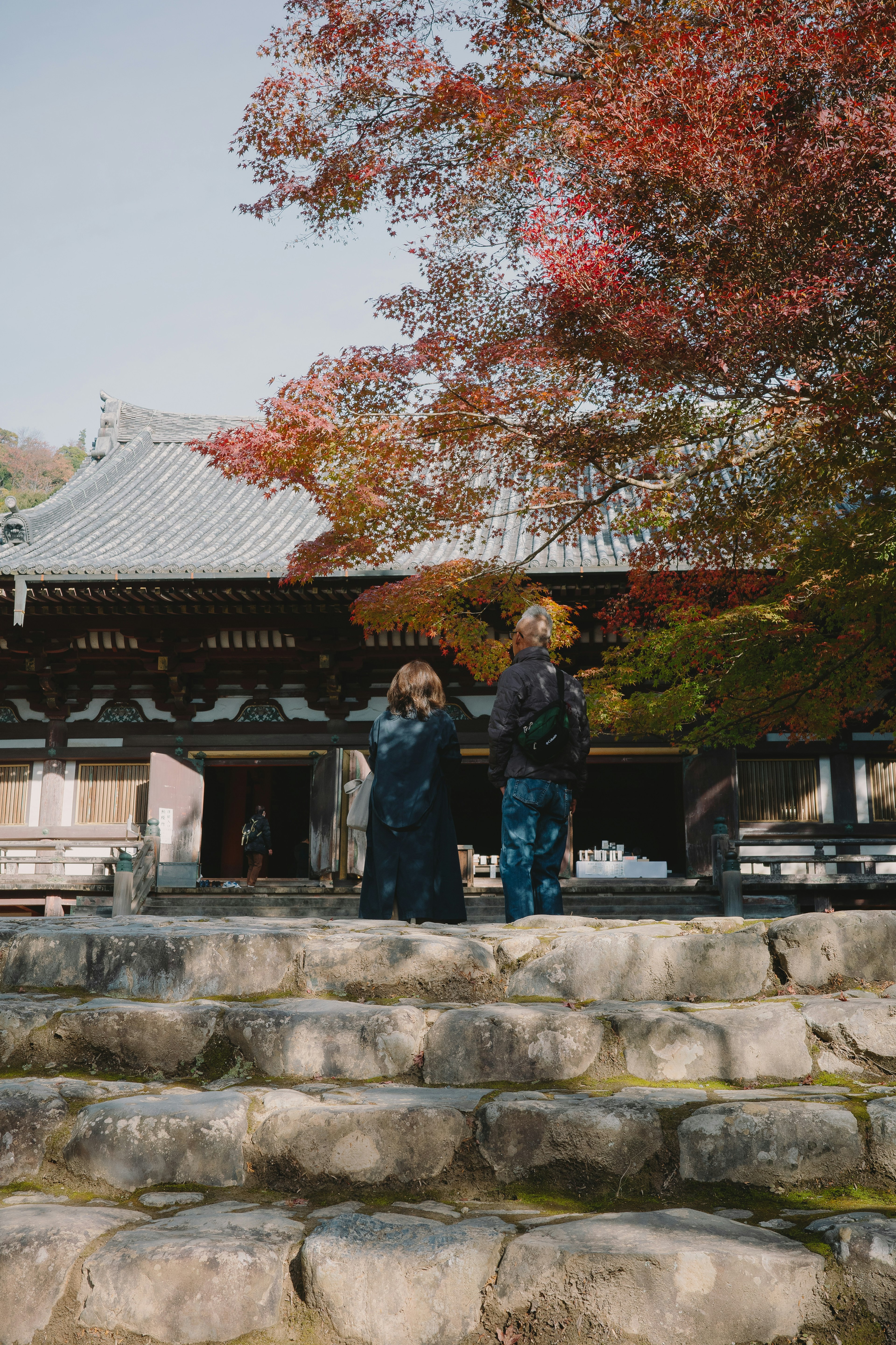 石段の上に立つ二人の人物と紅葉した木の背景