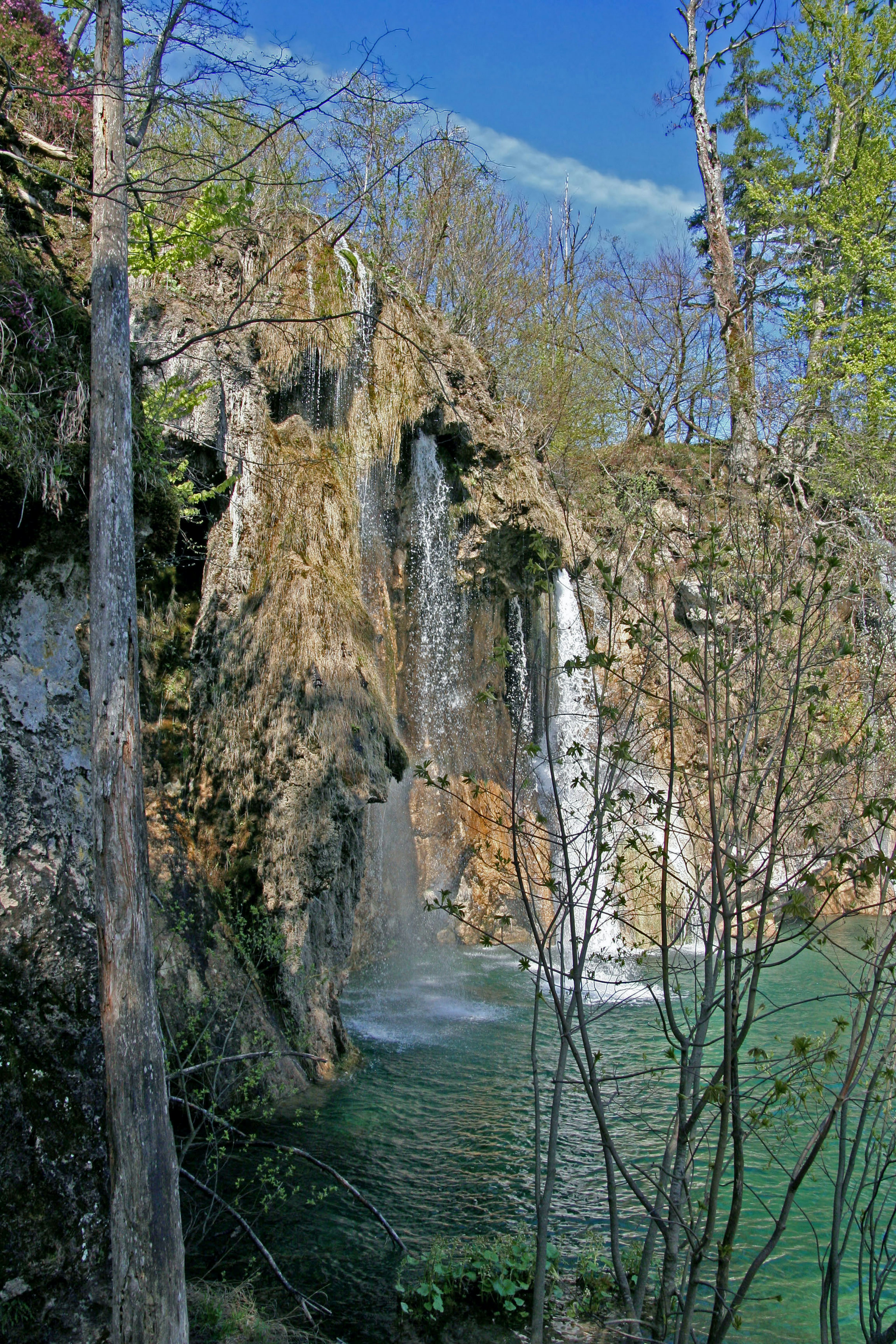 Magnifique cascade avec de l'eau verte dans un cadre naturel