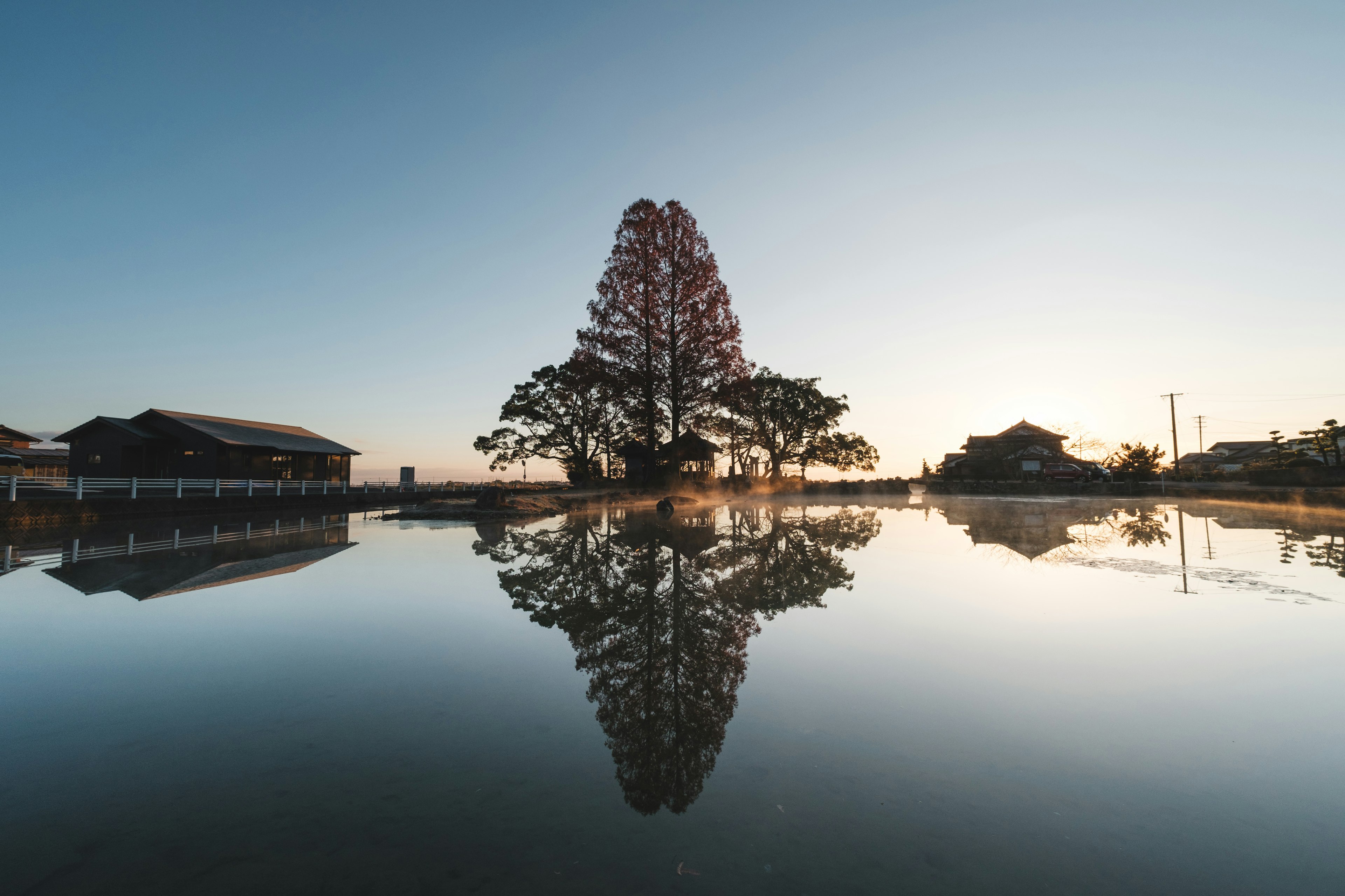 Grand arbre se reflétant dans un lac calme au coucher du soleil