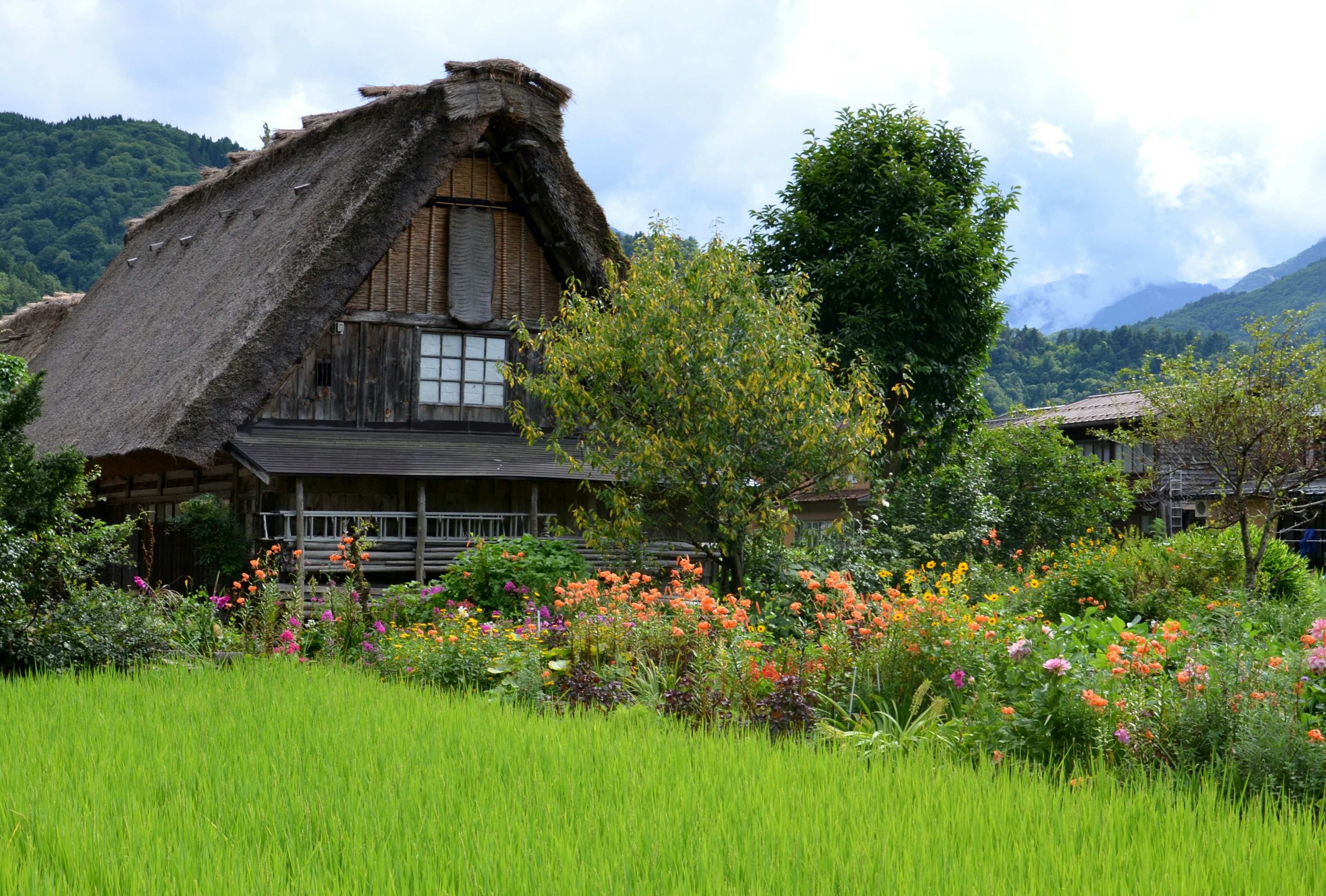 一座风景如画的乡村房屋，周围是五彩缤纷的花朵和稻田