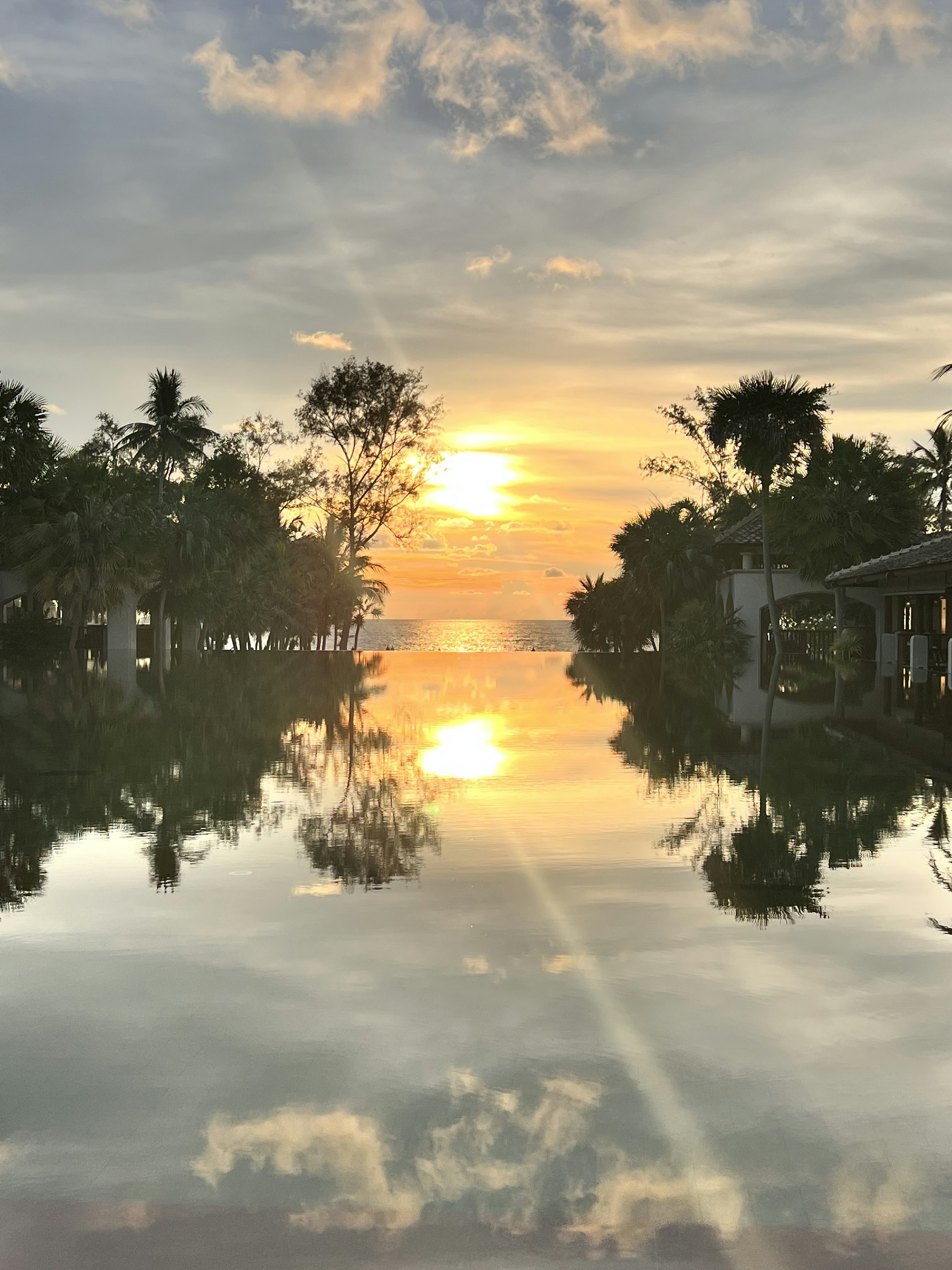 Schöner Sonnenuntergang, der sich im Wasser spiegelt, Wolken und Silhouetten von Bäumen am Himmel