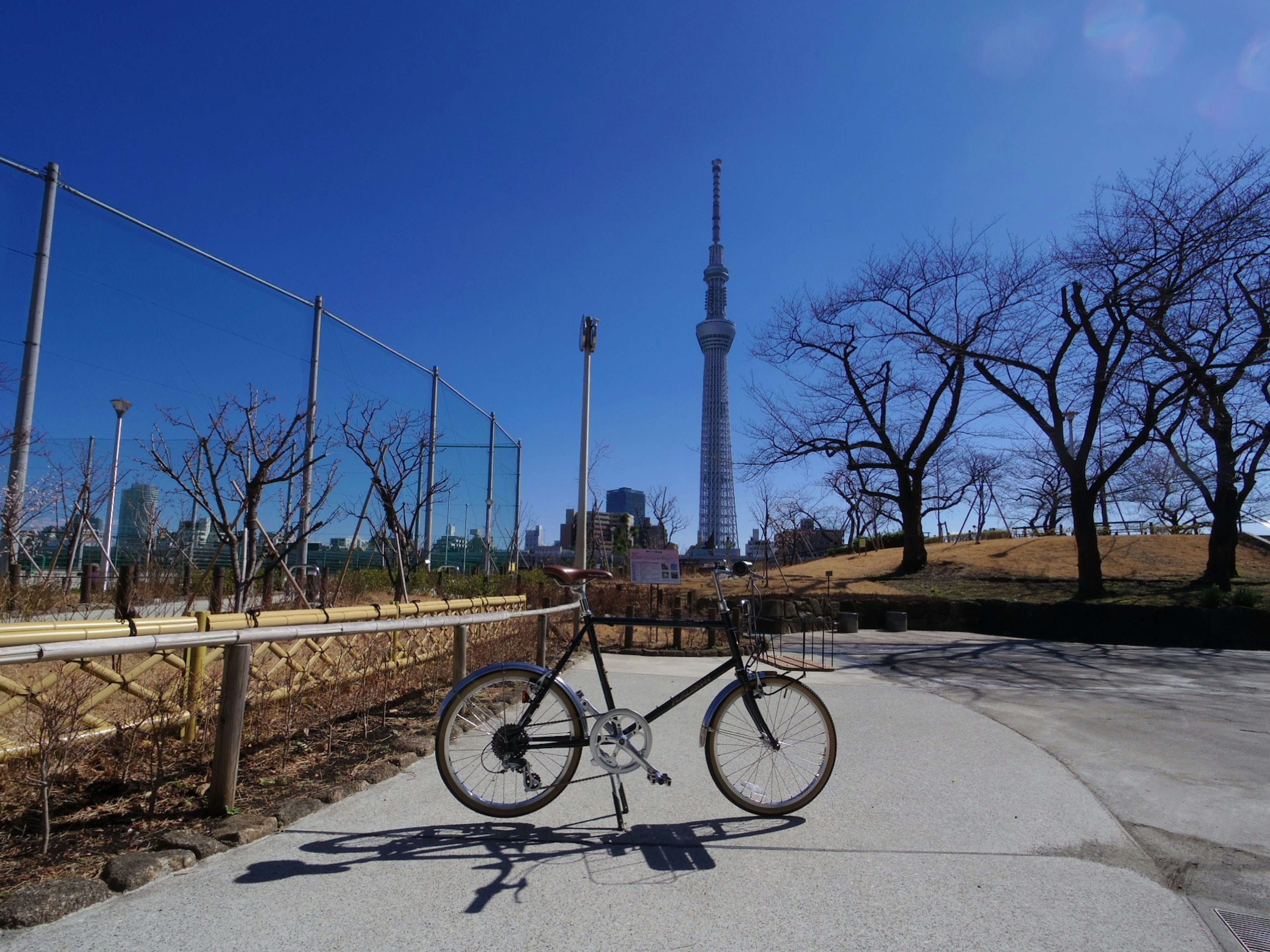 Vélo sur un chemin de parc avec la Tokyo Skytree en arrière-plan