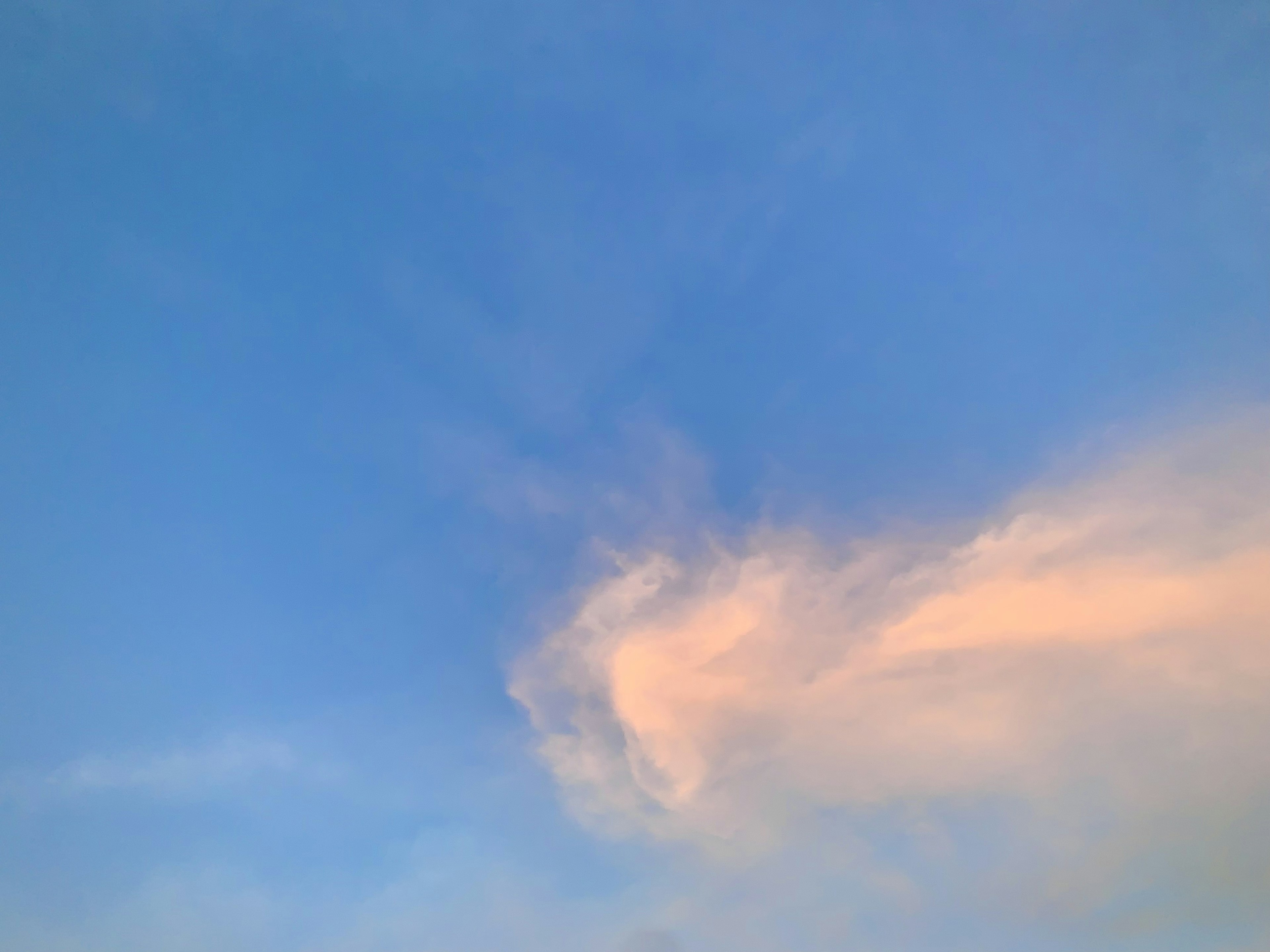 青い空に薄い雲が漂う風景