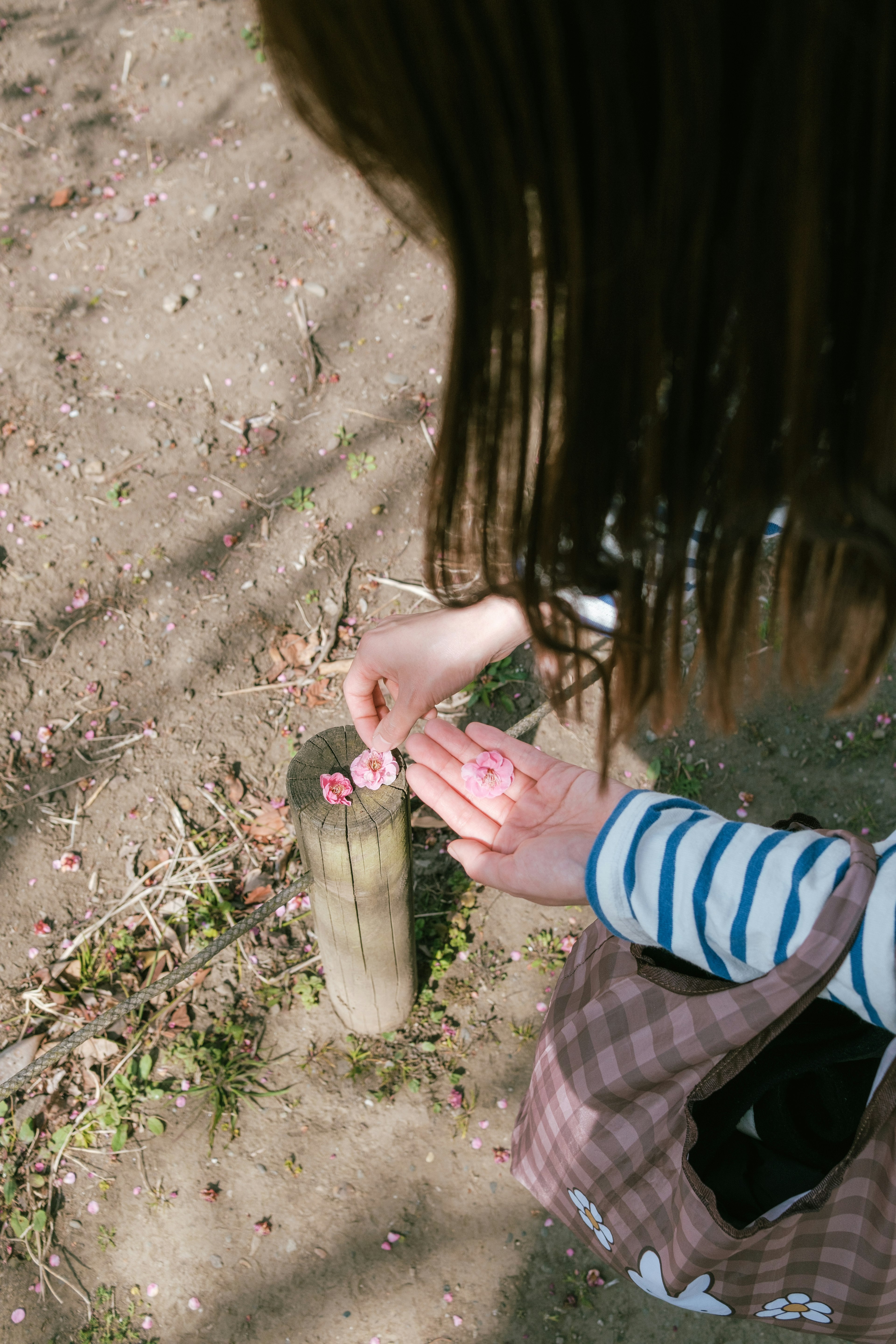 A woman placing something on a wooden post in a park