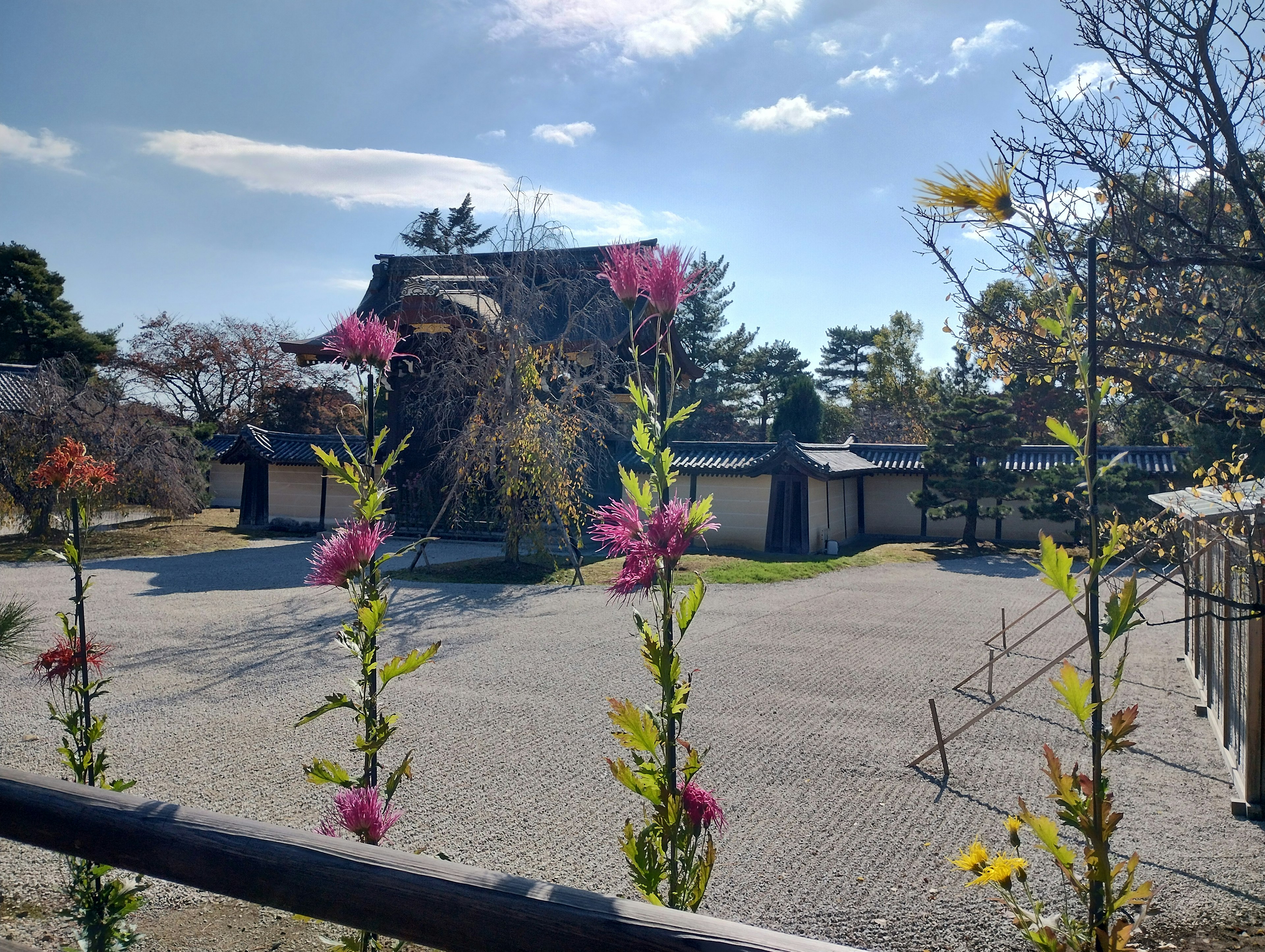 花盛开的花园中的传统日本建筑