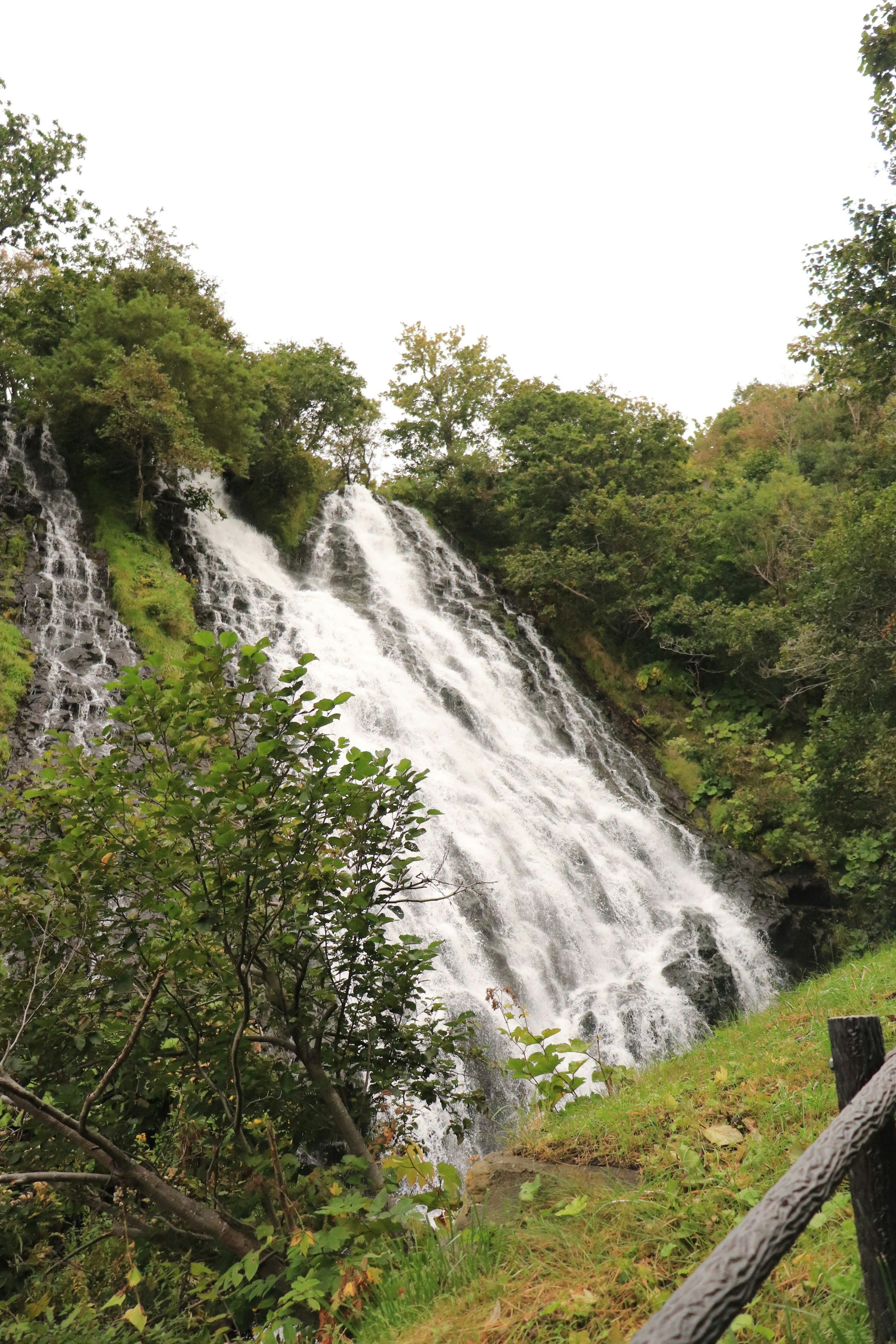 Wasserfall, der von einer felsigen Klippe in üppiges Grün fließt