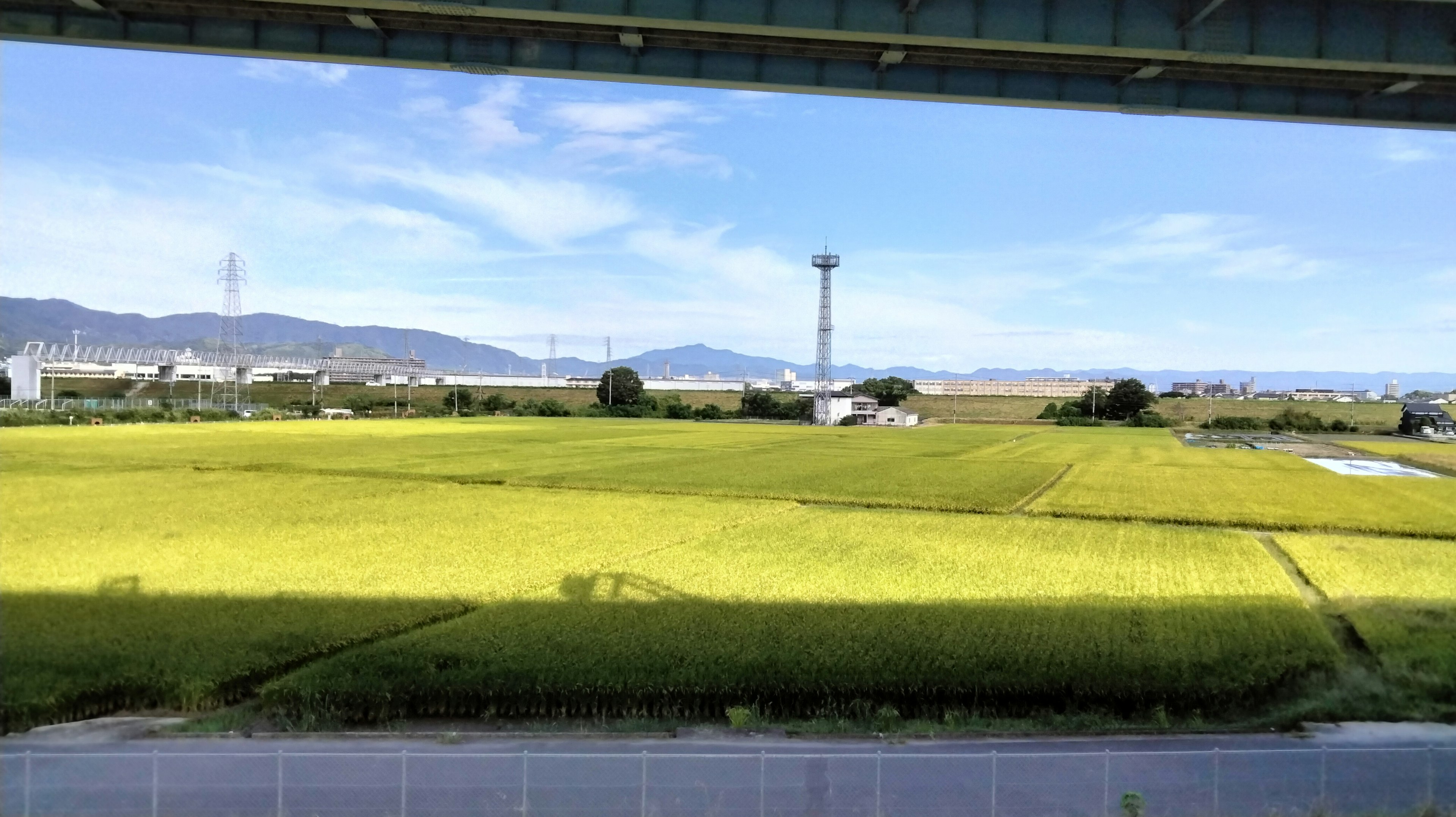 Campos de arroz verdes vibrantes bajo un cielo azul con montañas distantes