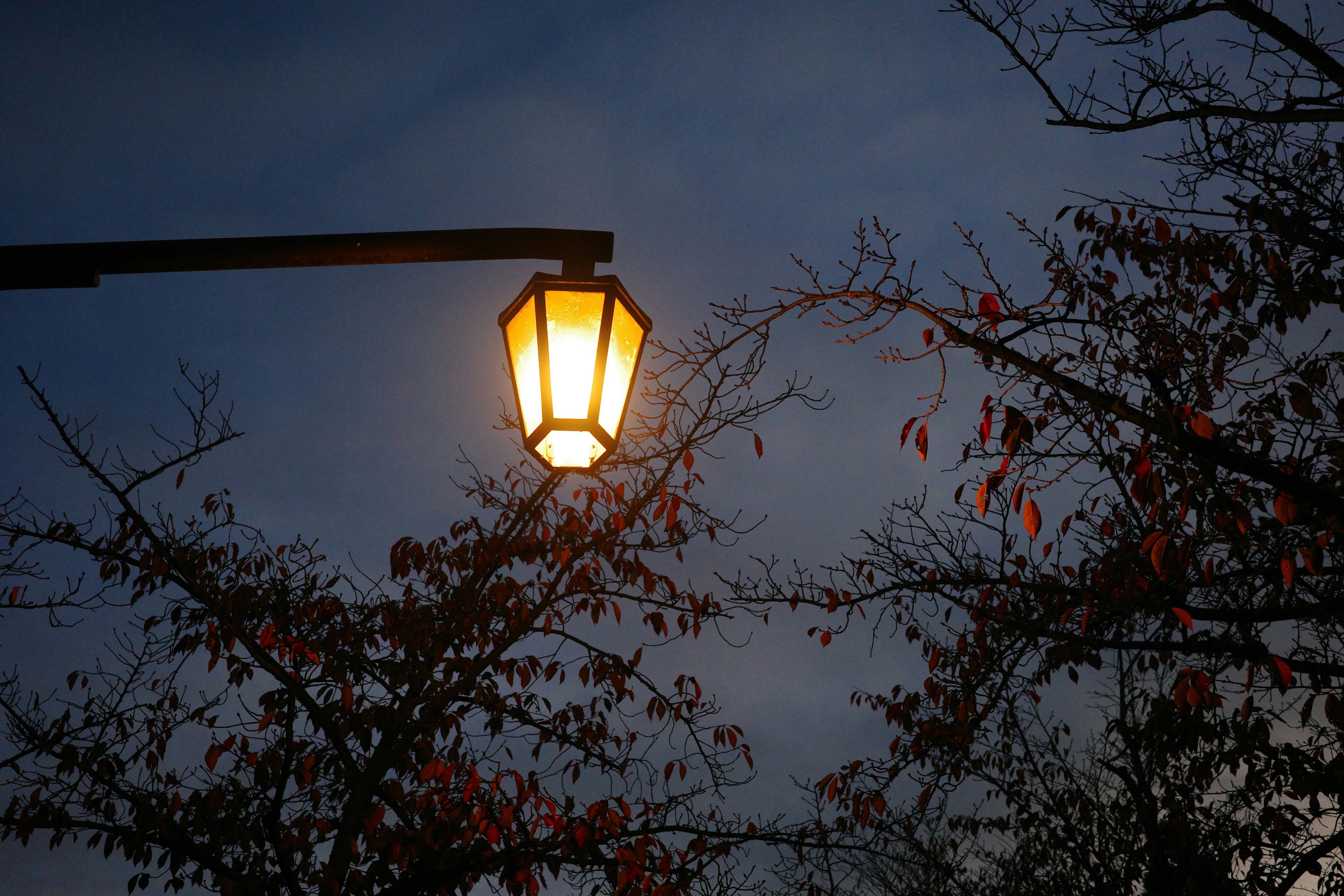 Farola iluminada contra un cielo oscuro con hojas de otoño