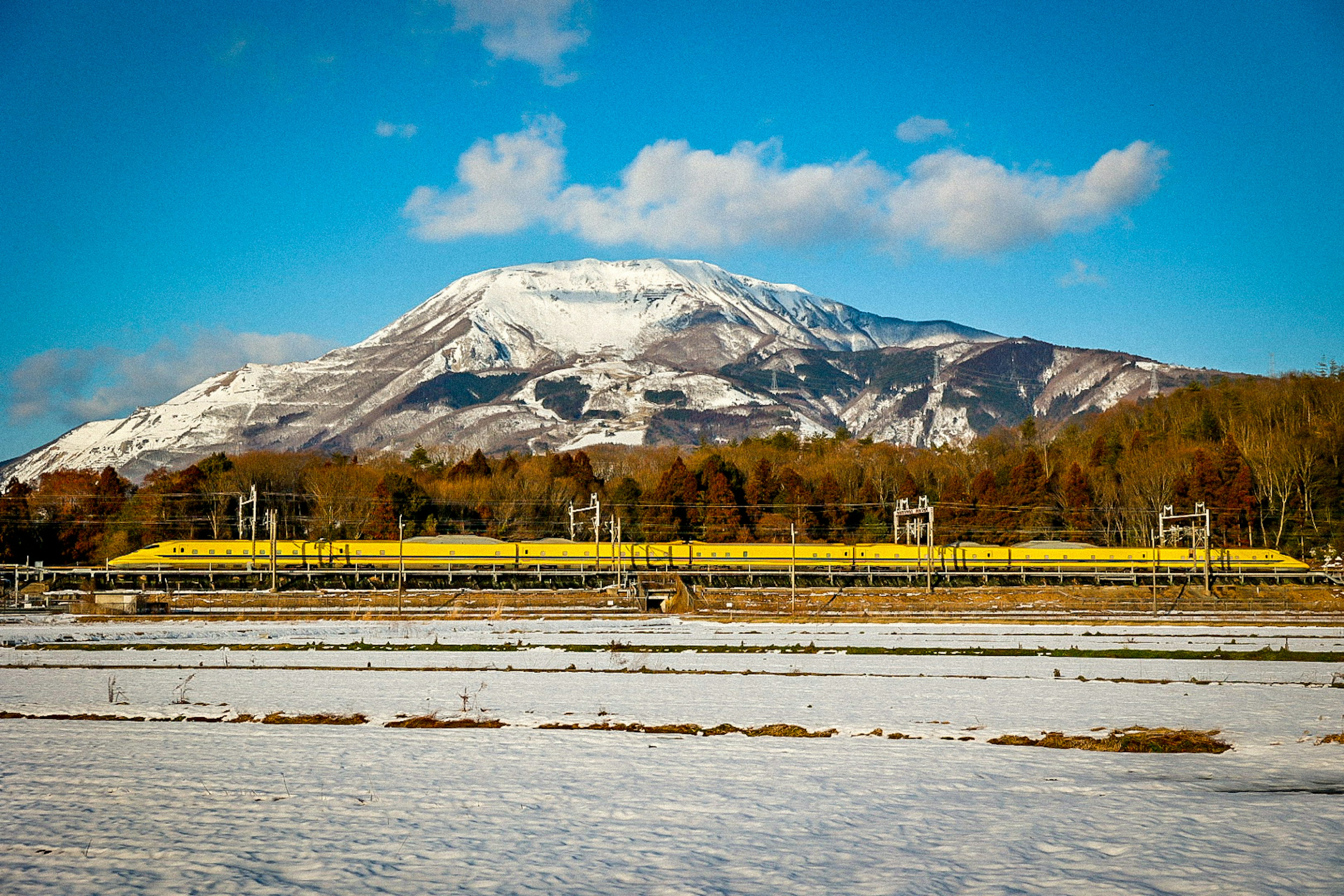 Vue panoramique de champs couverts de neige avec une montagne en arrière-plan