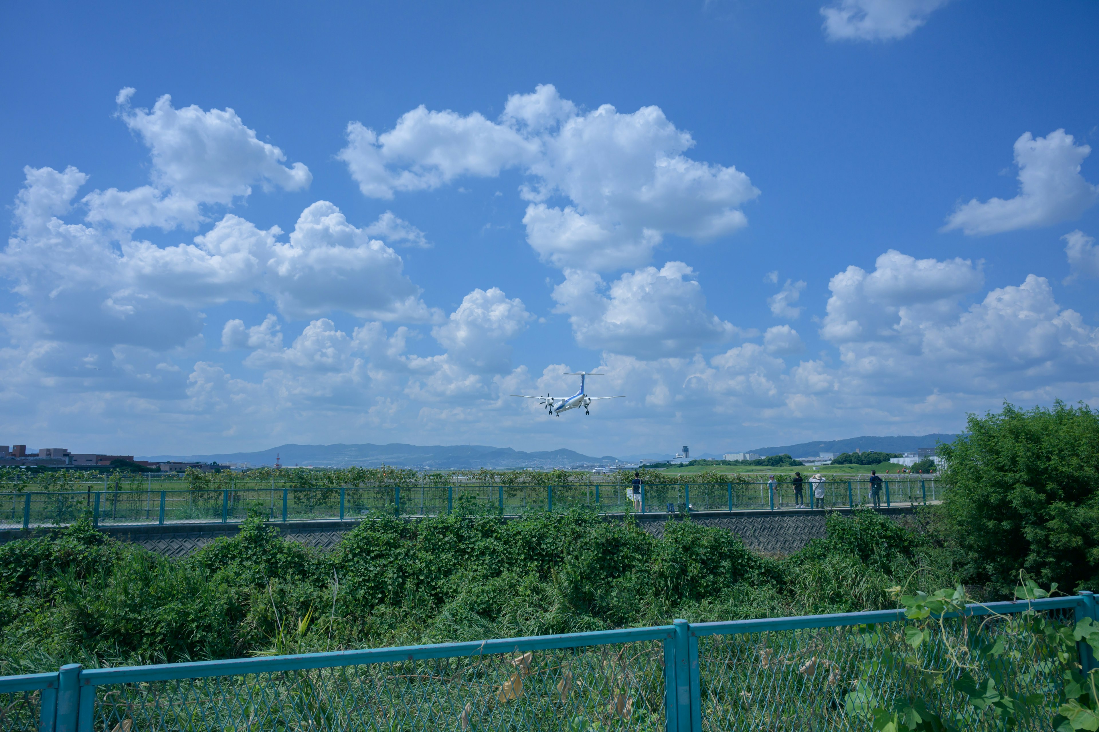 A plane flying under a blue sky with fluffy white clouds