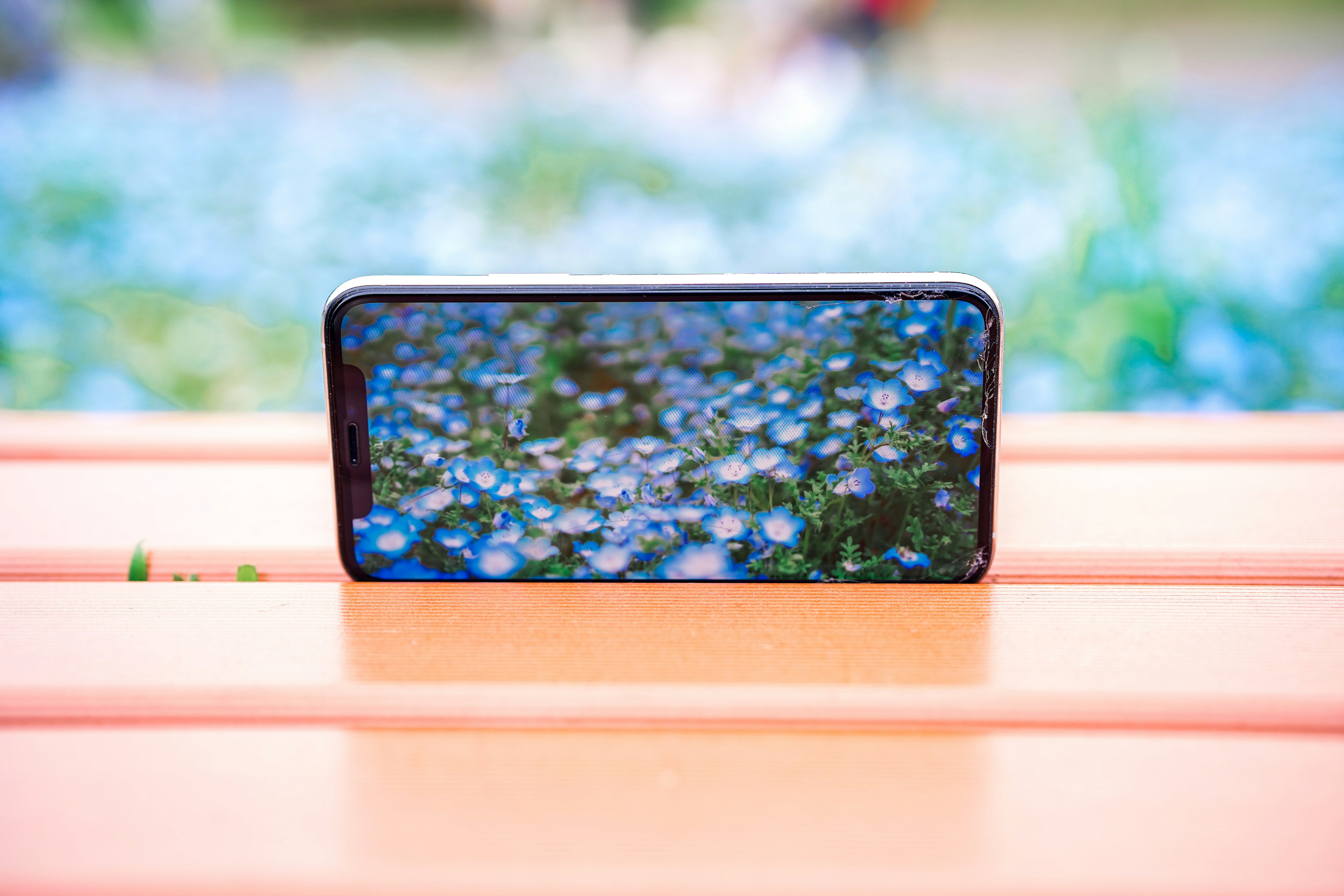 Teléfono inteligente en un banco naranja mostrando una foto de flores azules