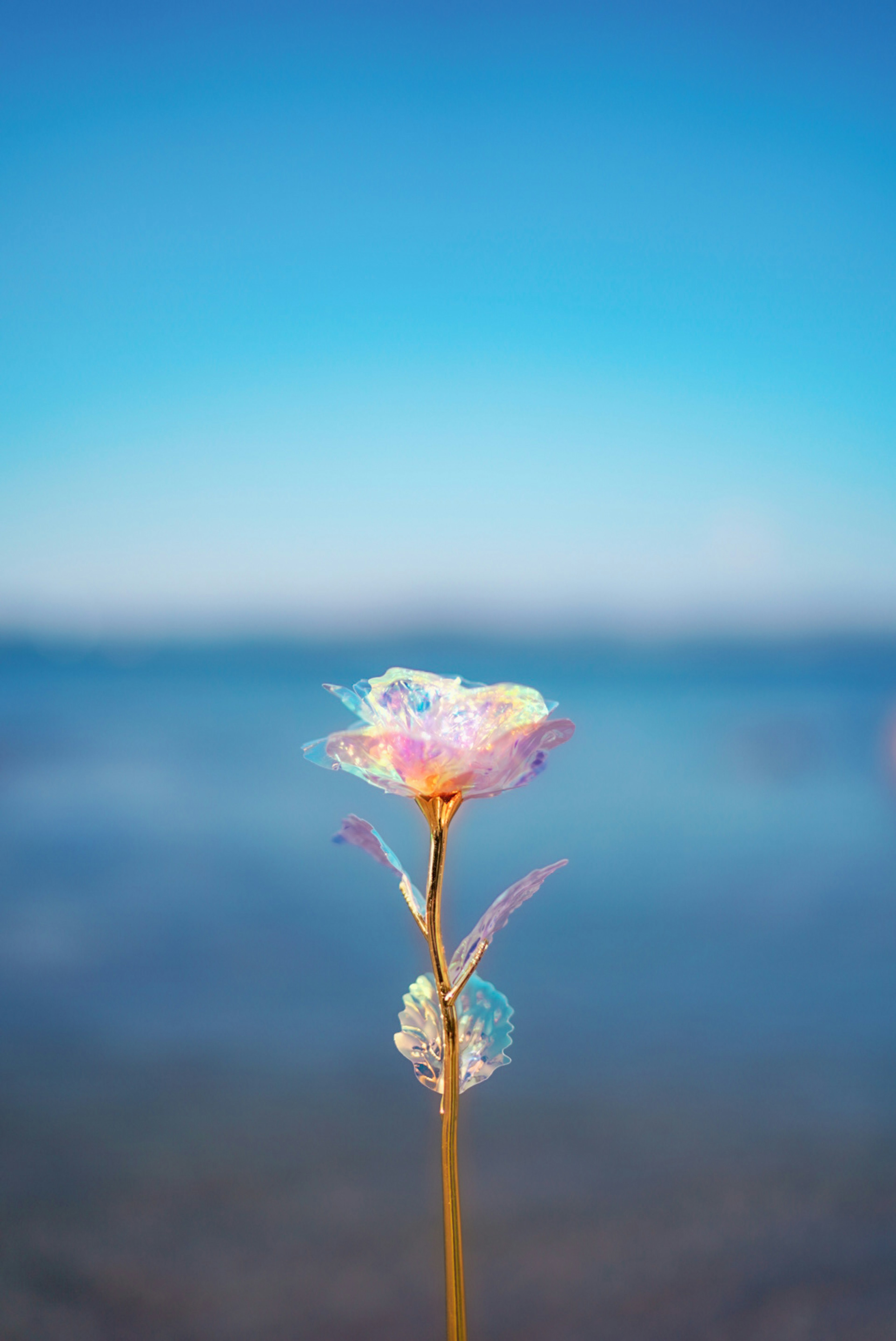 Eine bunte Blume steht vor einem blauen Himmel