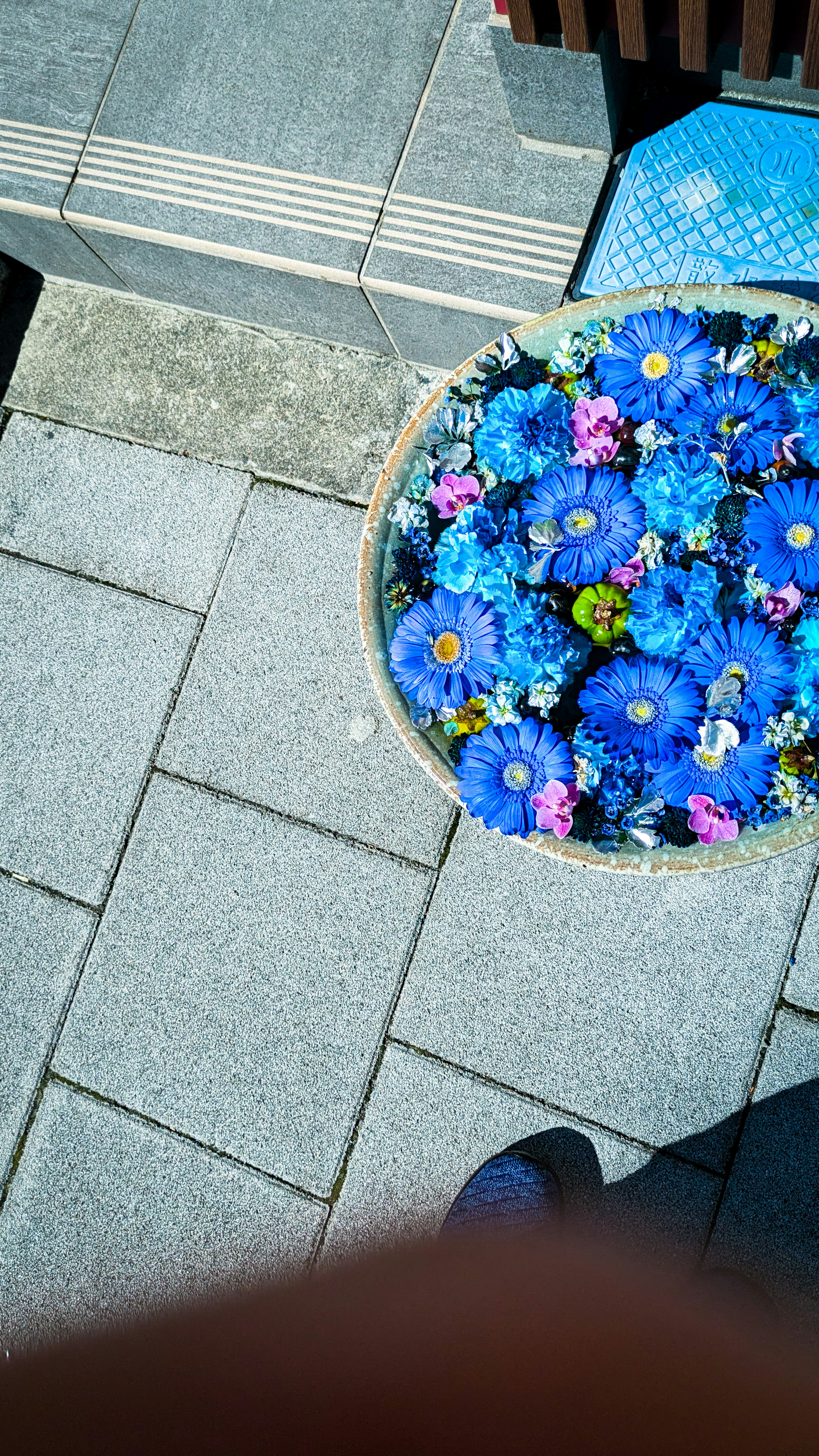 青い花のバスケットが地面に置かれている風景