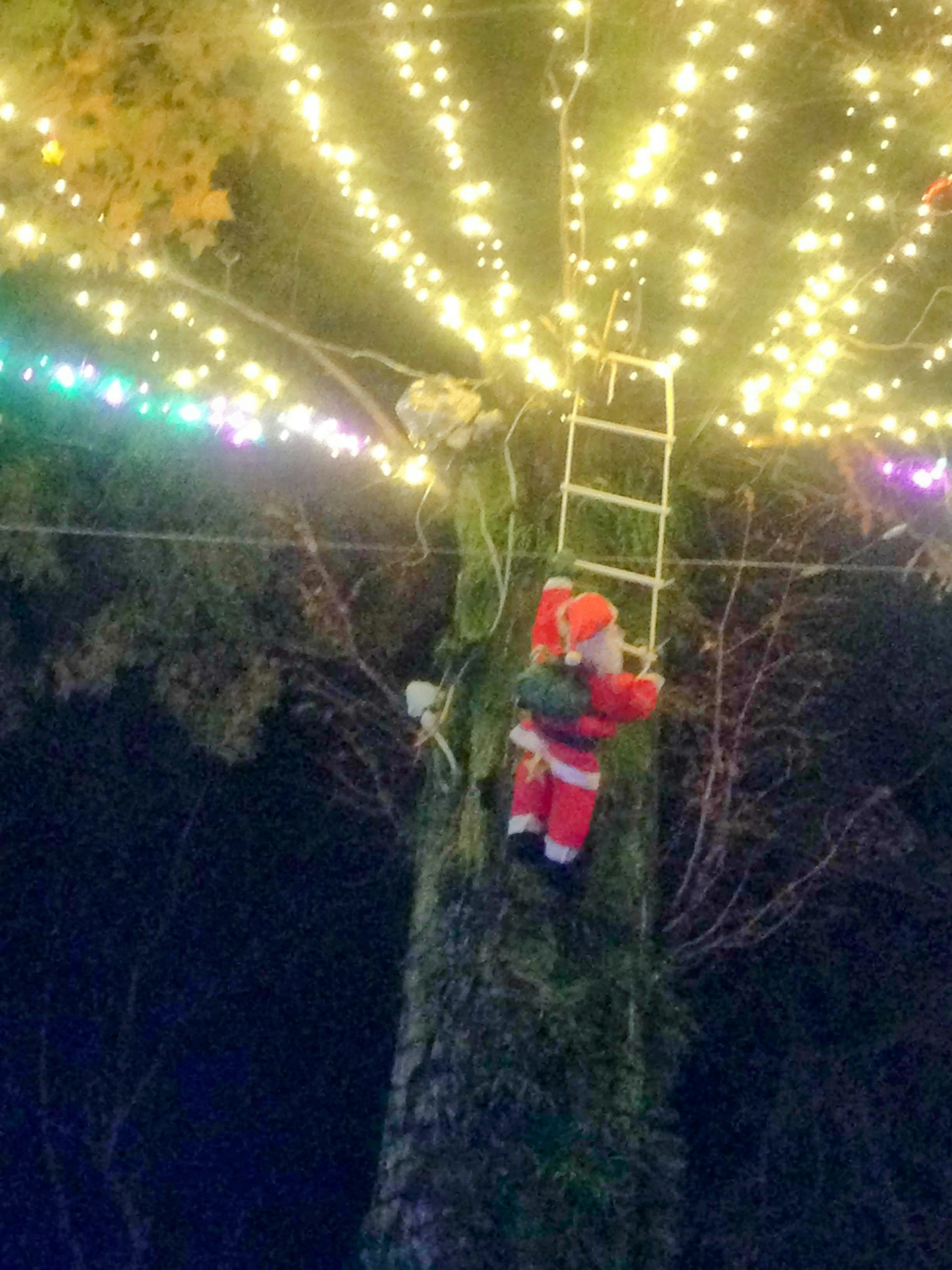 Santa figure climbing a tree decorated with colorful Christmas lights