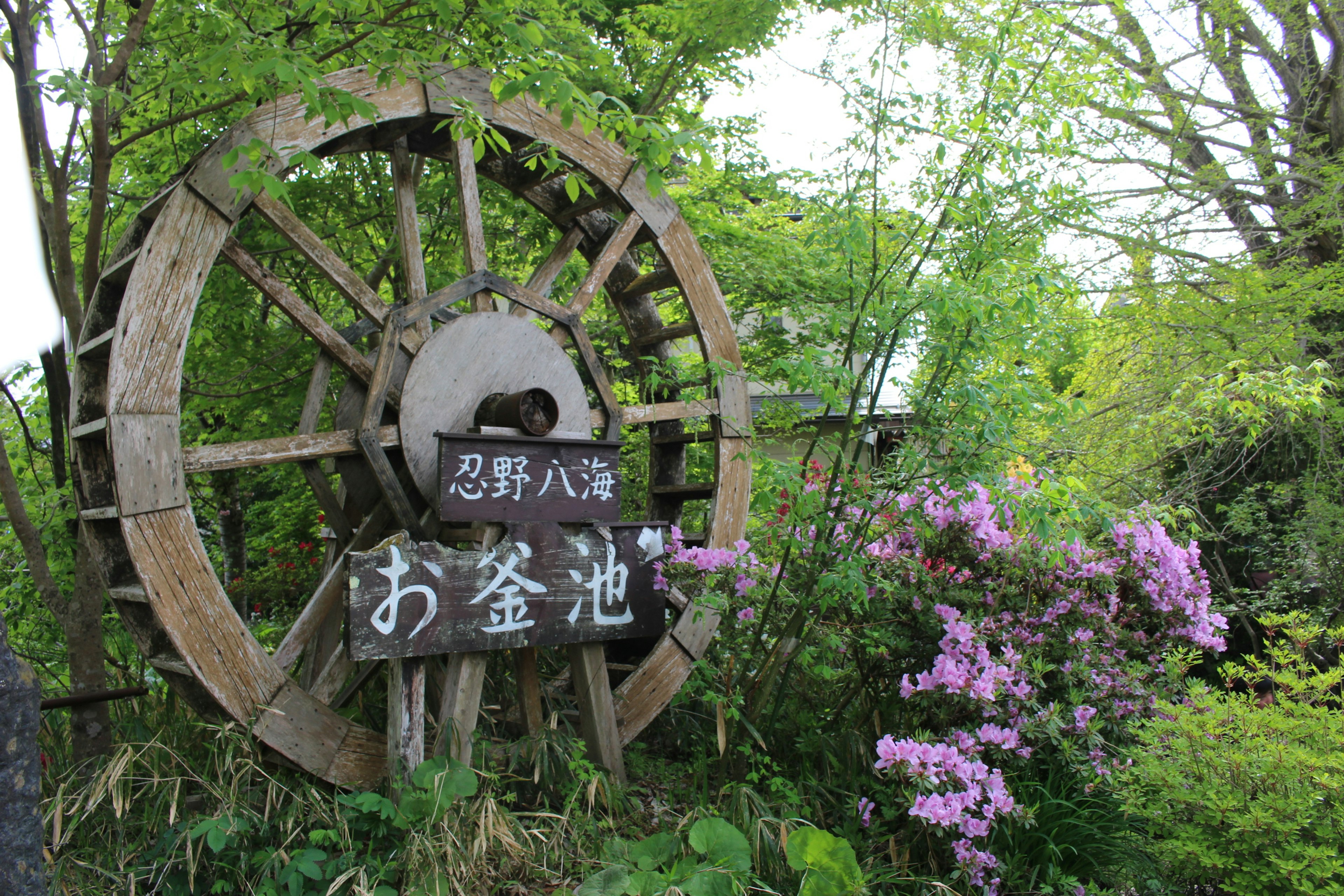 緑に囲まれた水車とお盆池の看板がある風景