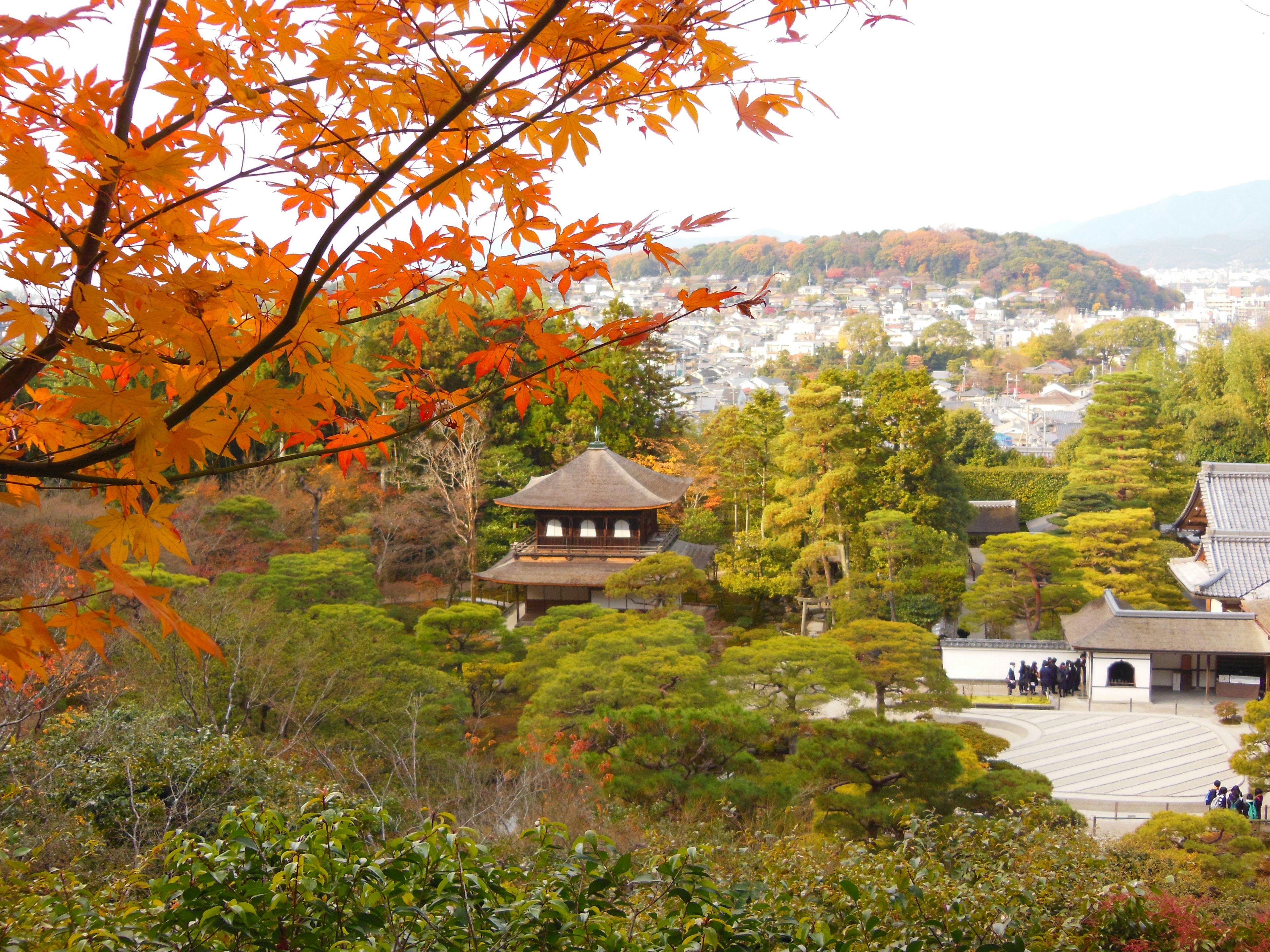 紅葉に囲まれた銀閣寺とその周辺の風景