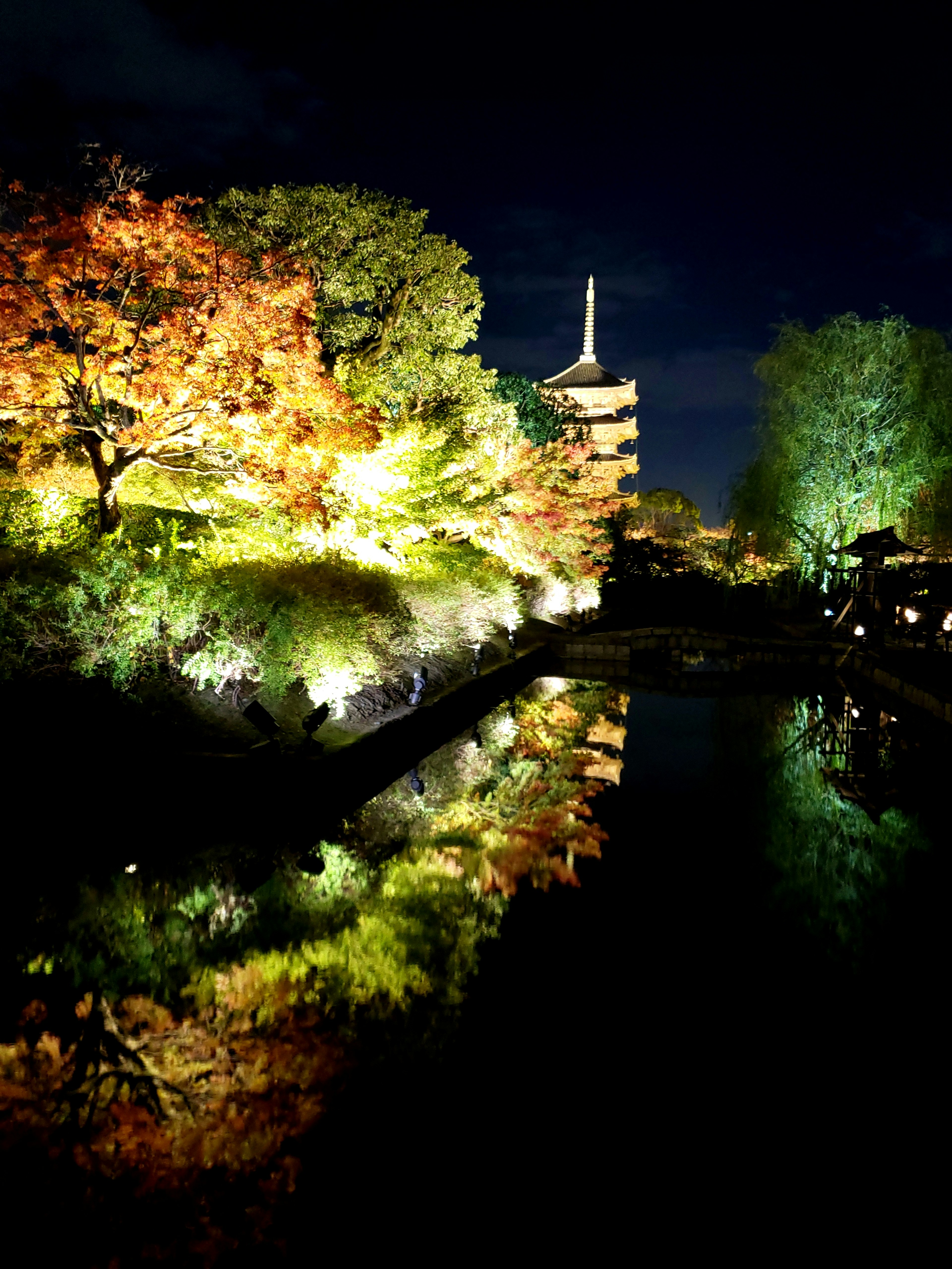 Beleuchtetes Herbstlaub und Reflexion in einem Teich bei Nacht