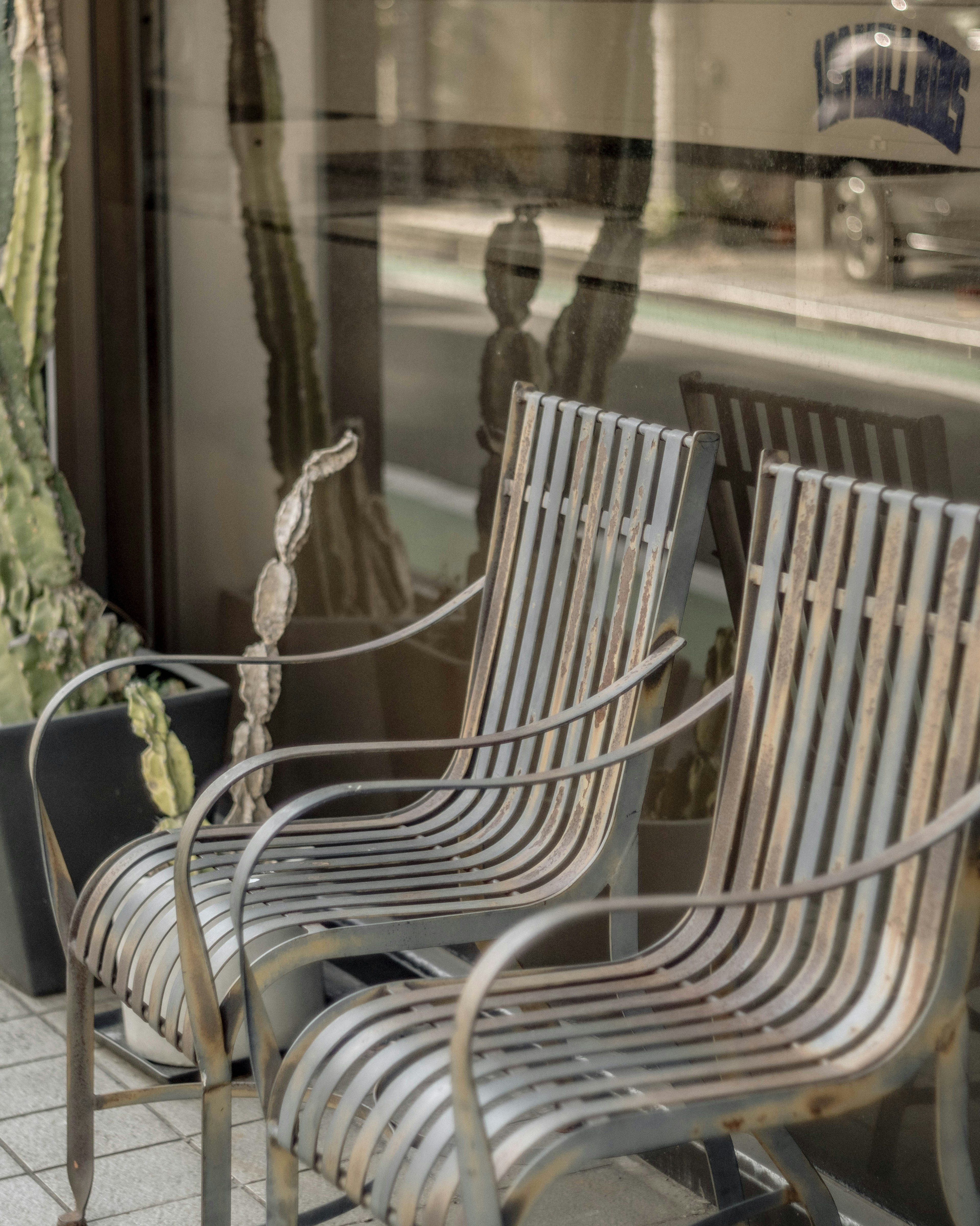 Sillas de metal dispuestas en una terraza de café con reflejos de plantas en la ventana