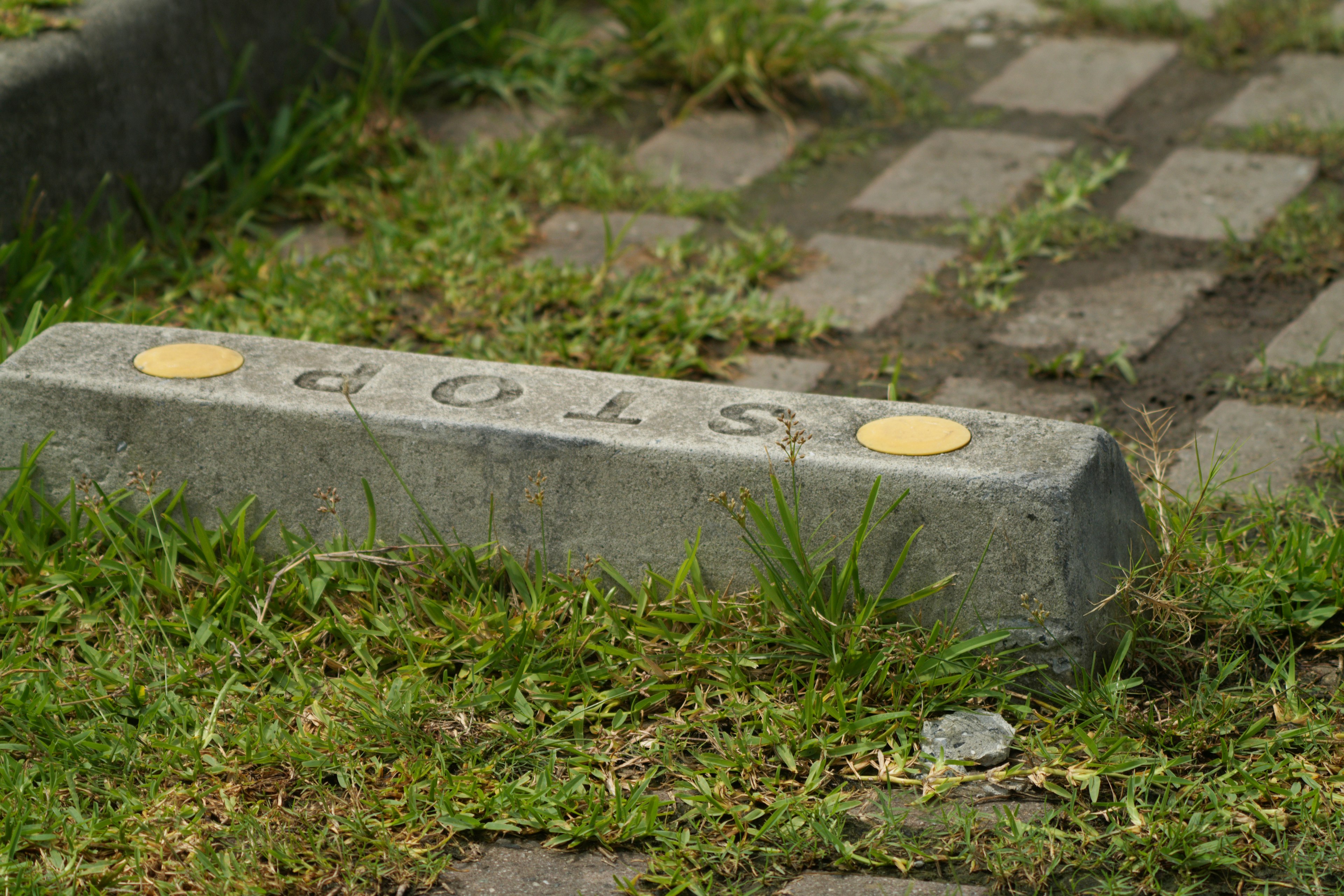 Betonschild mit der Aufschrift Stop, teilweise von Gras bedeckt