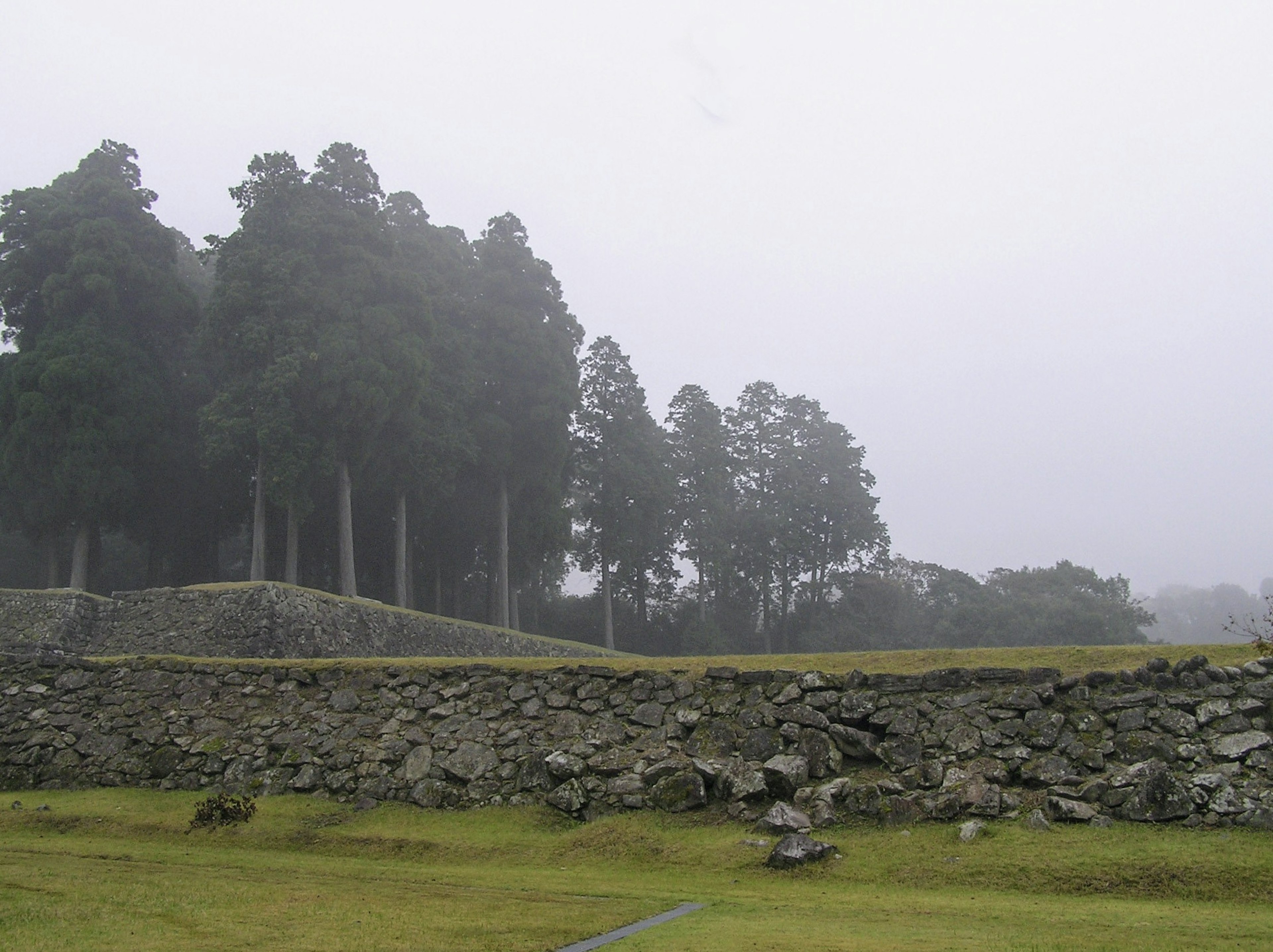 Paysage avec de grands arbres et un mur de pierre dans le brouillard