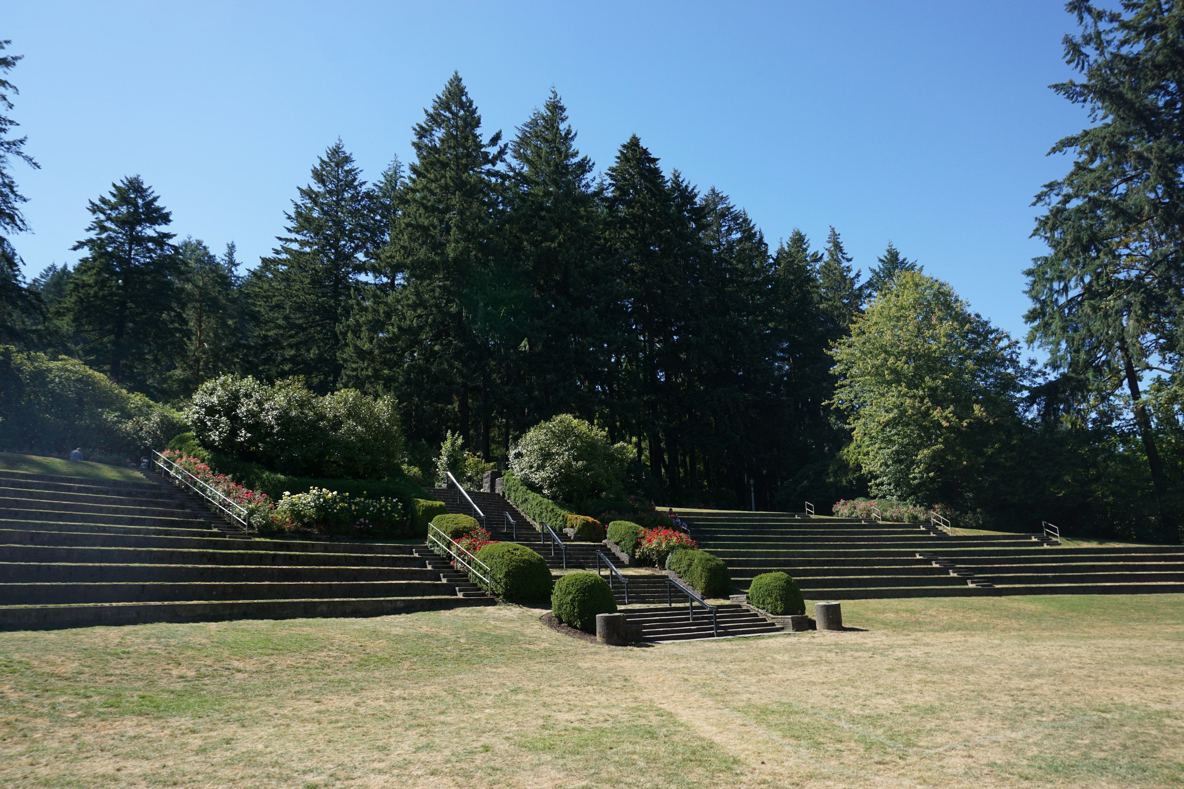 Vue panoramique d'un jardin en terrasses entouré d'arbres luxuriants