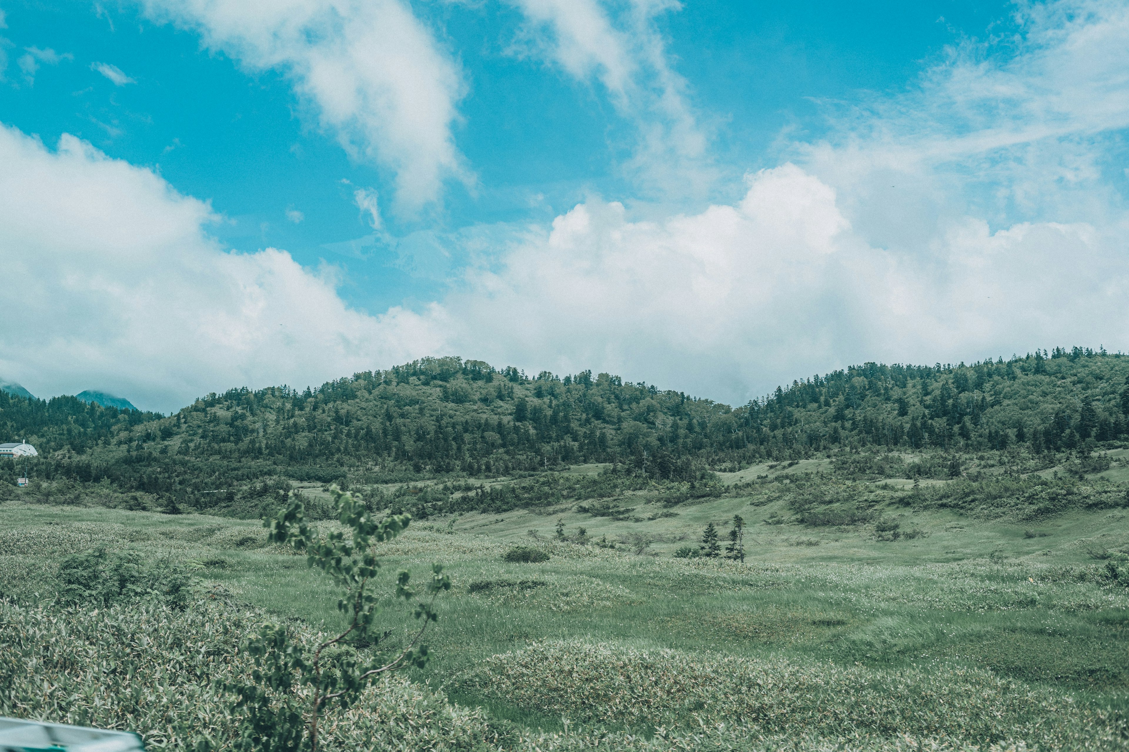 Bukit hijau subur di bawah langit biru dengan awan putih