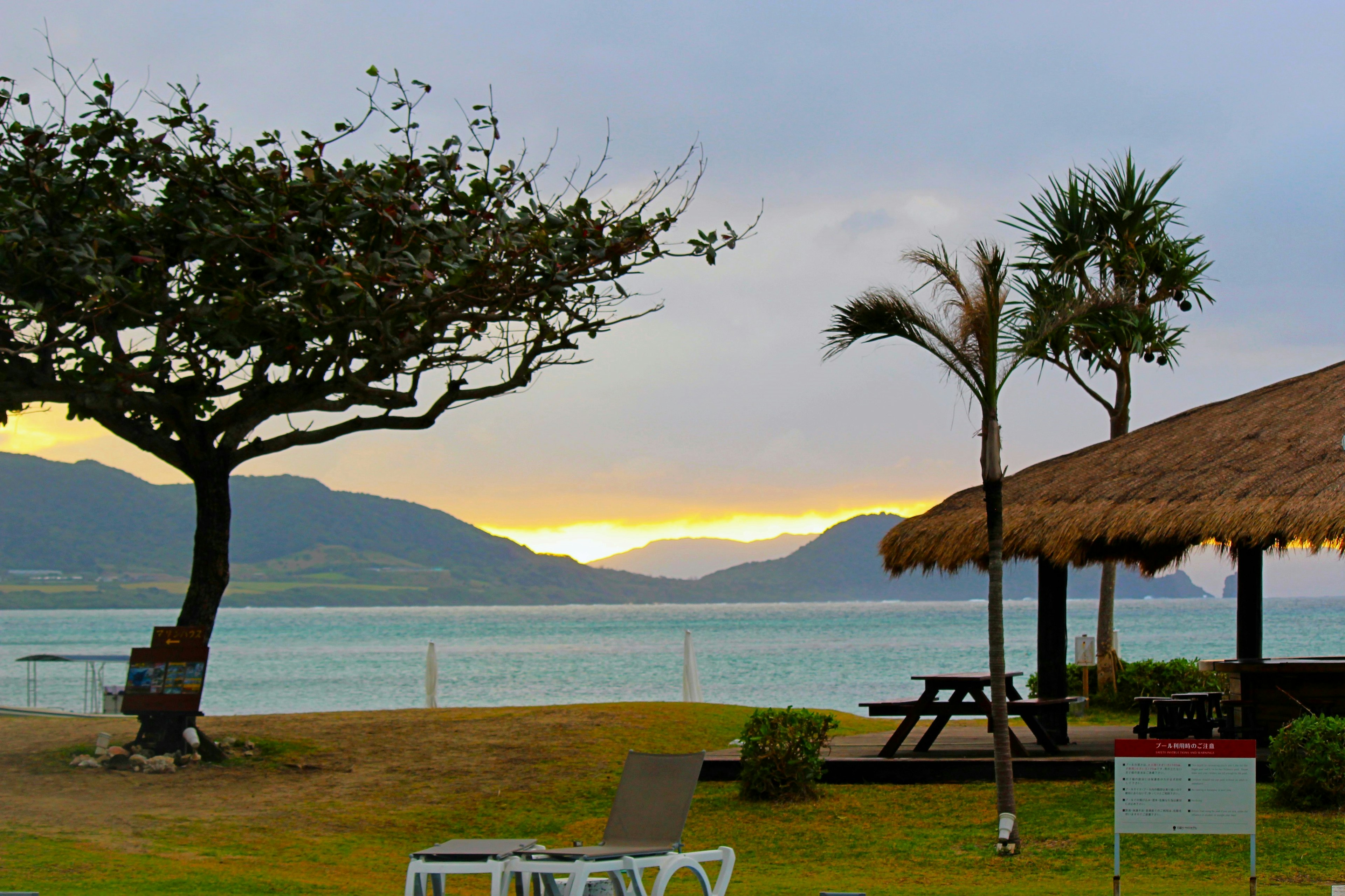 Vue de plage pittoresque avec des palmiers et un hut en chaume