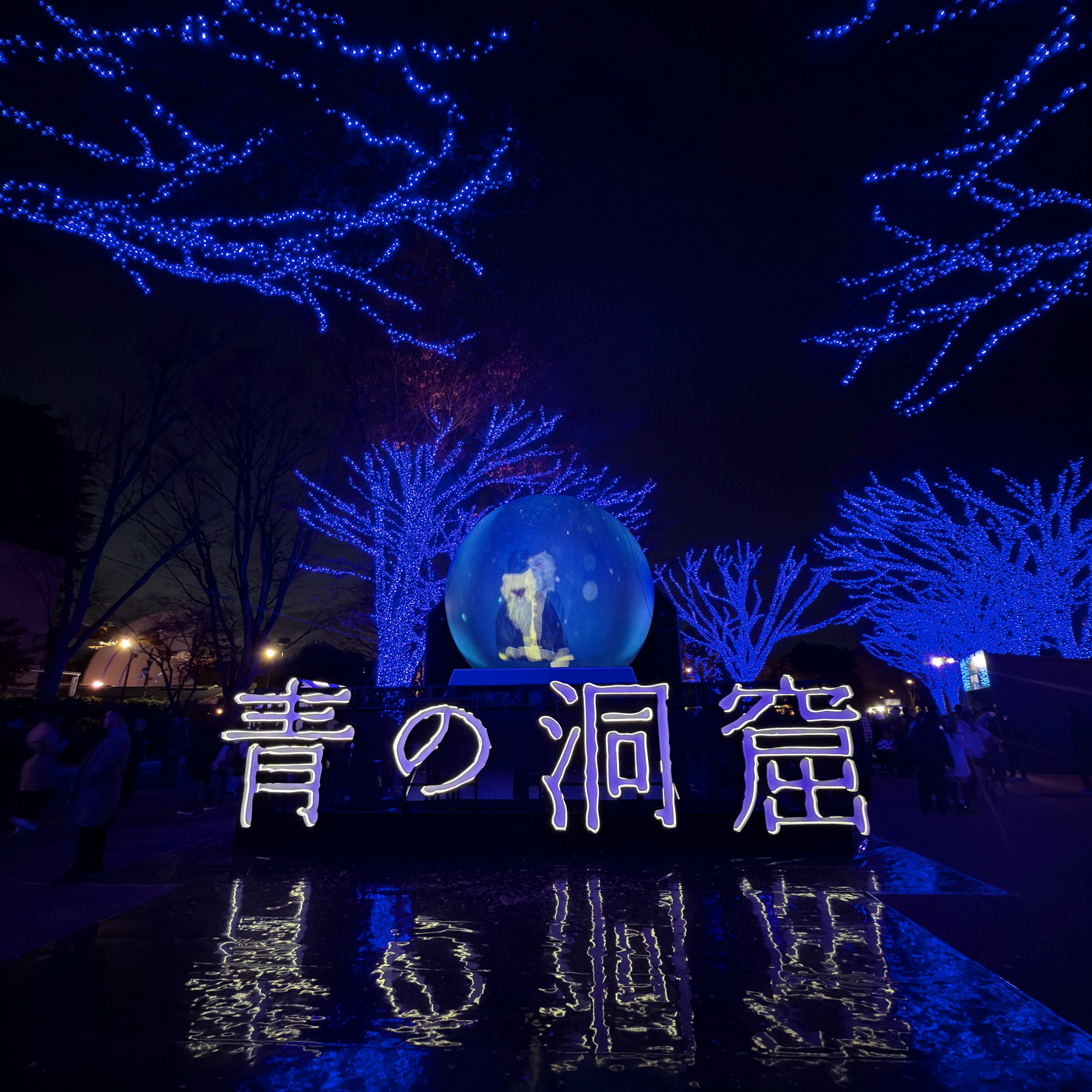 青の洞窟のイルミネーションが青い光で装飾された公園の景色