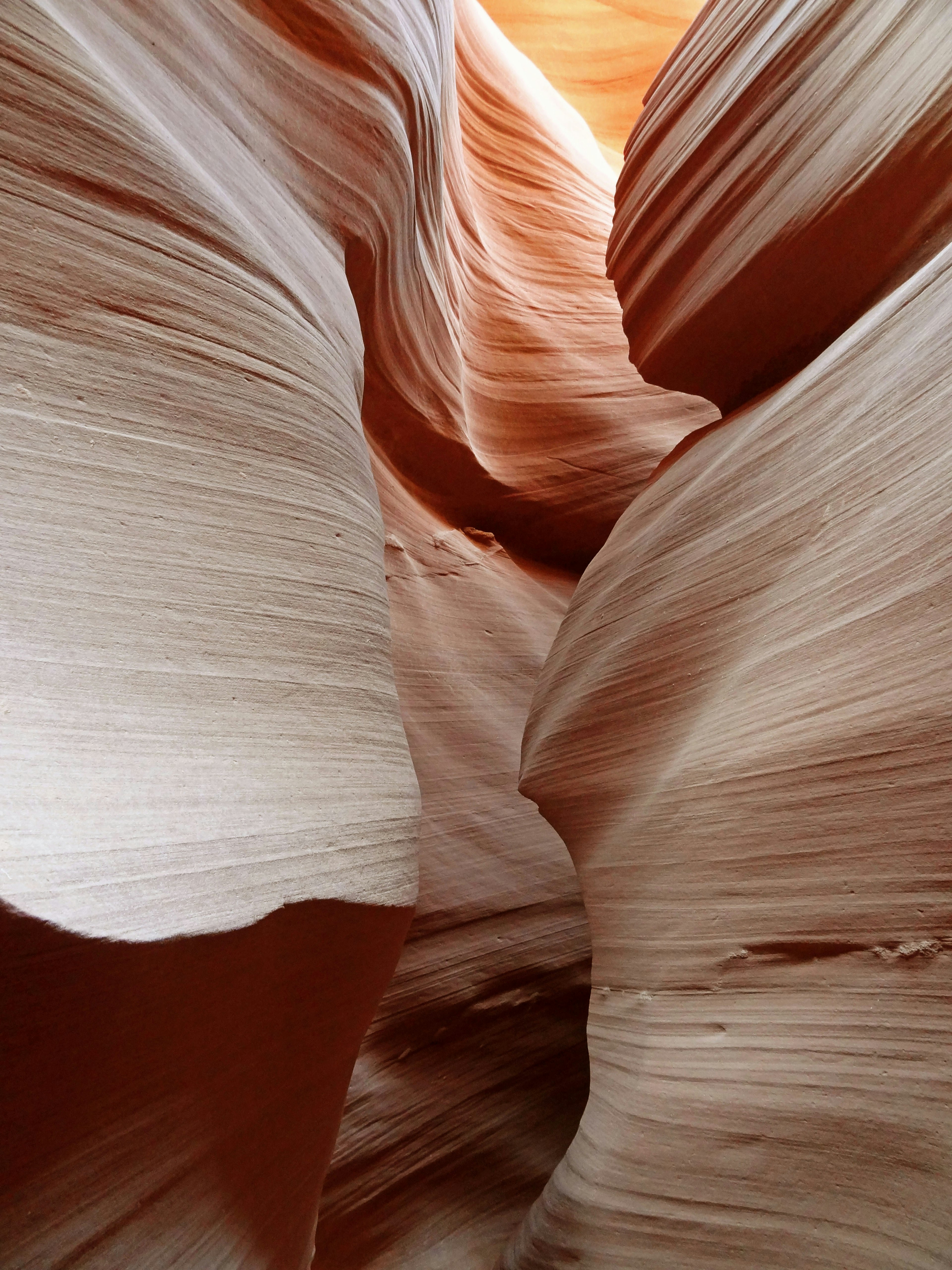 Una vista di un bellissimo canyon di arenaria con texture ondulate