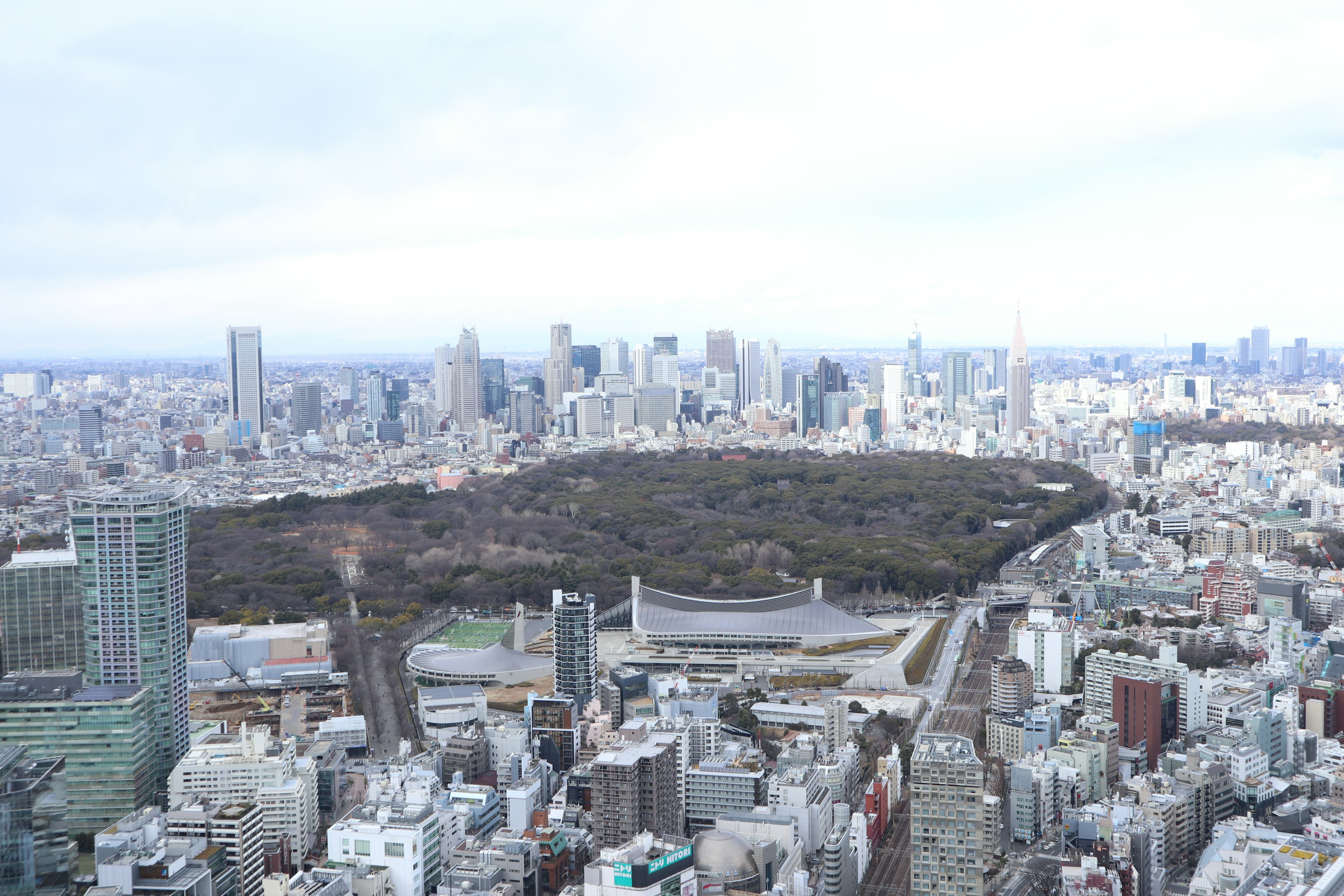 Pemandangan langit kota Tokyo dengan taman Yoyogi yang hijau