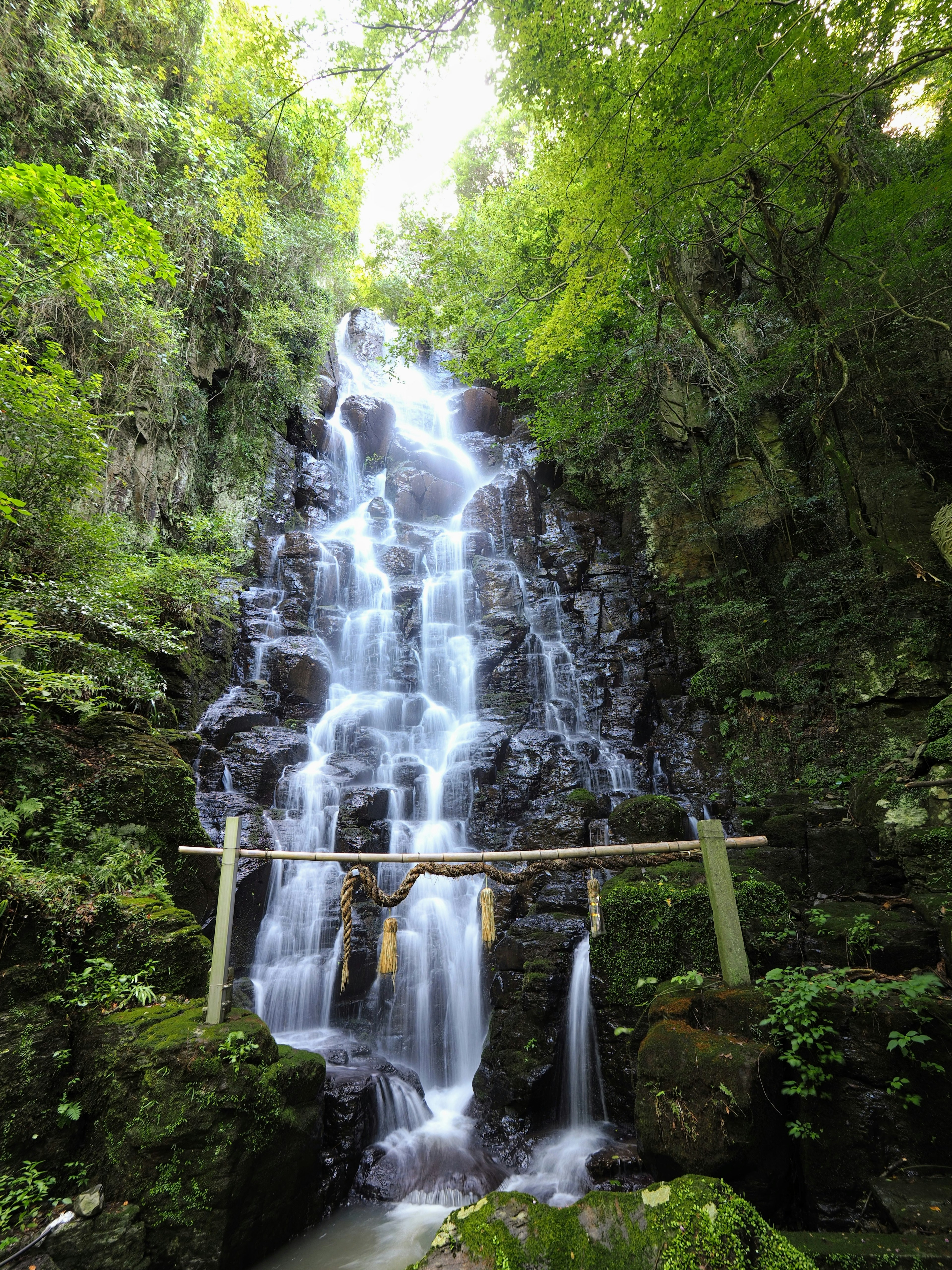 A waterfall cascading down surrounded by lush greenery